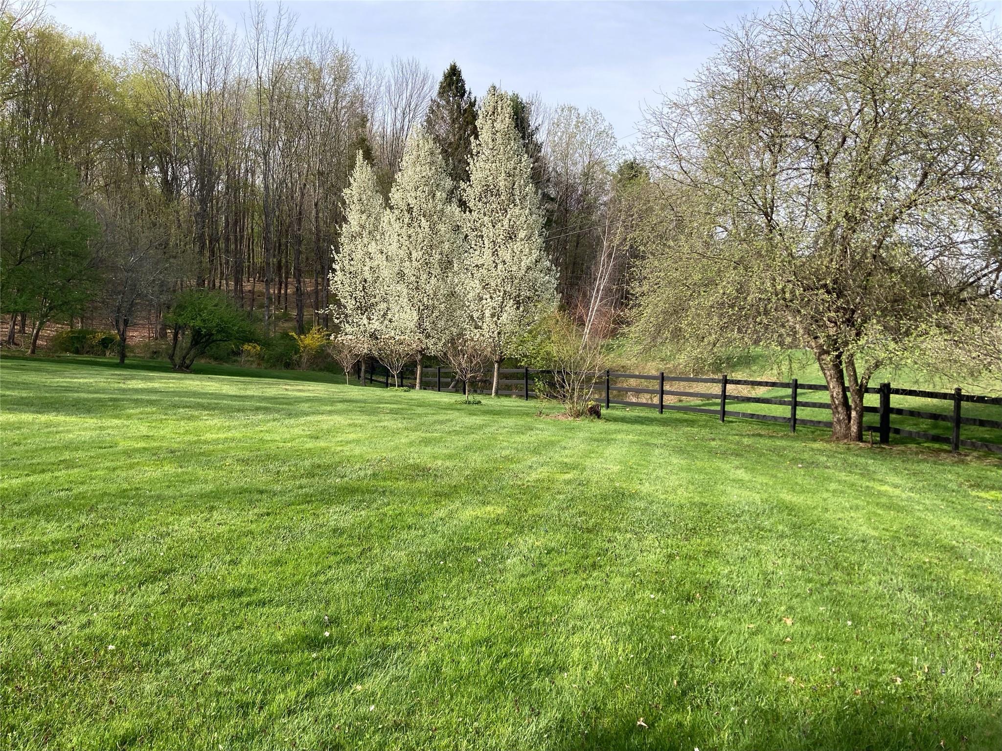 California Avenue, Liberty, NY 12754