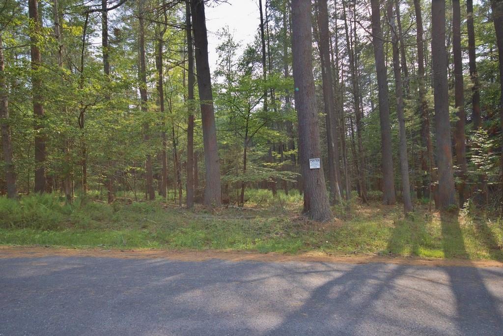 169 Mitchell Pond Road E, Cochecton, NY 12726