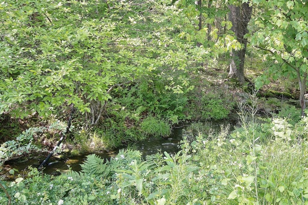 169 Mitchell Pond Road E, Cochecton, NY 12726