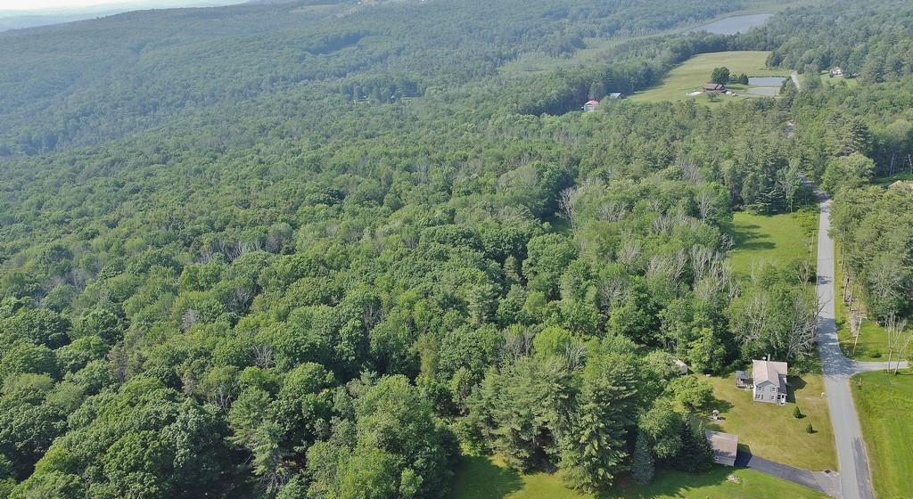 169 Mitchell Pond Road E, Cochecton, NY 12726