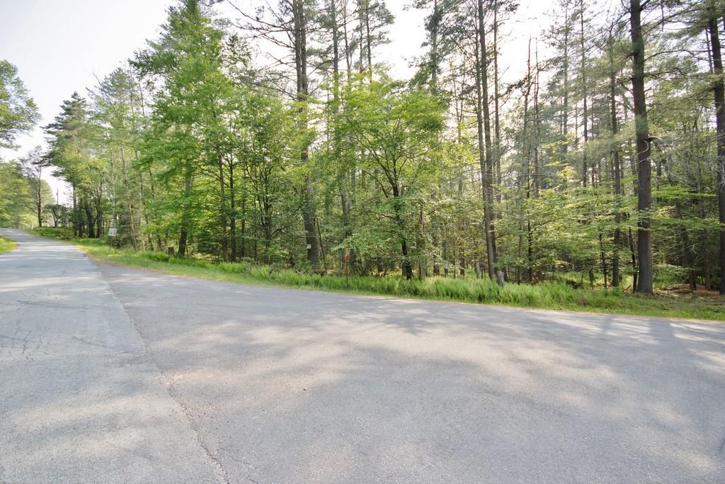 169 Mitchell Pond Road E, Cochecton, NY 12726