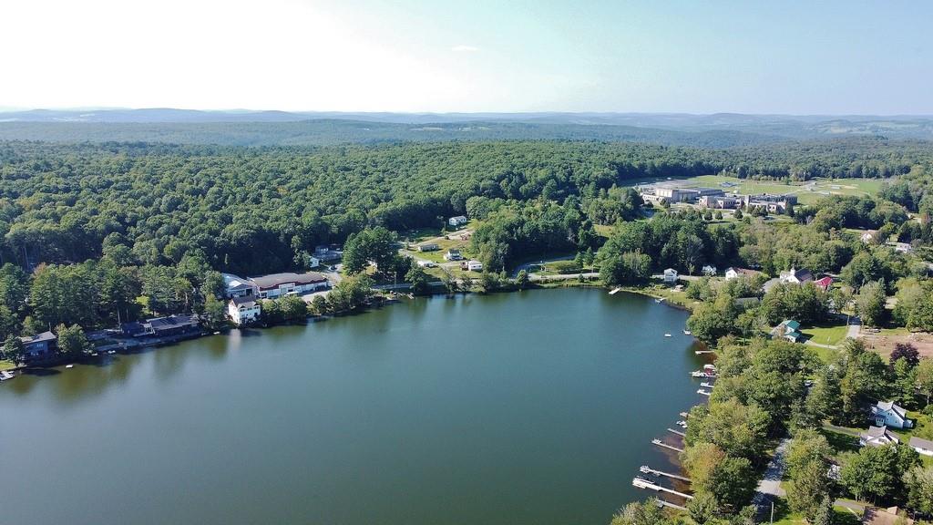 169 Mitchell Pond Road E, Cochecton, NY 12726