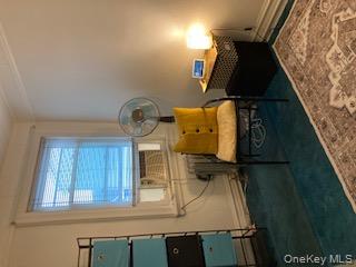 5855 41st Drive, Woodside, NY 11377