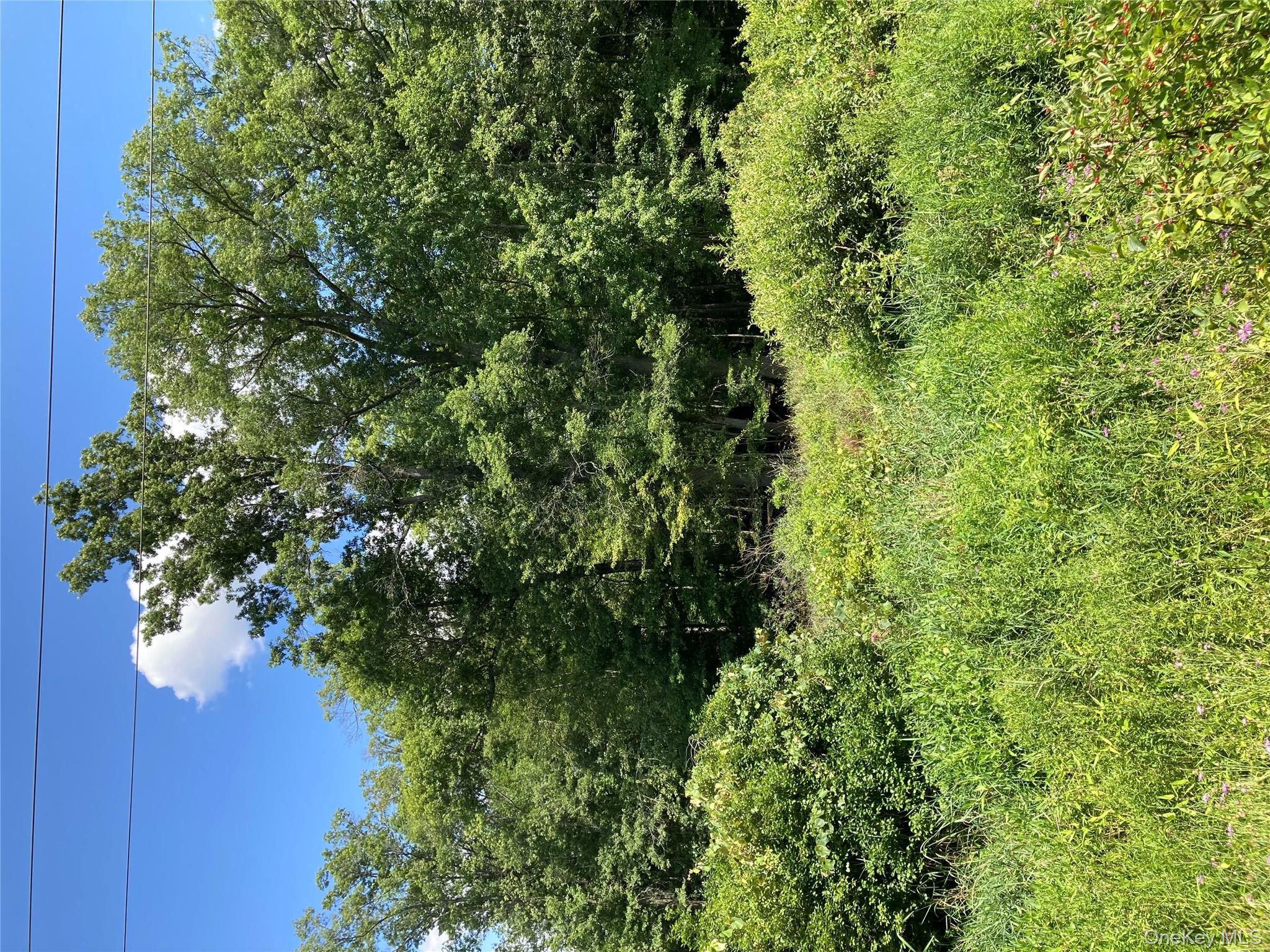 Baxtertown Road, Fishkill, NY 12524