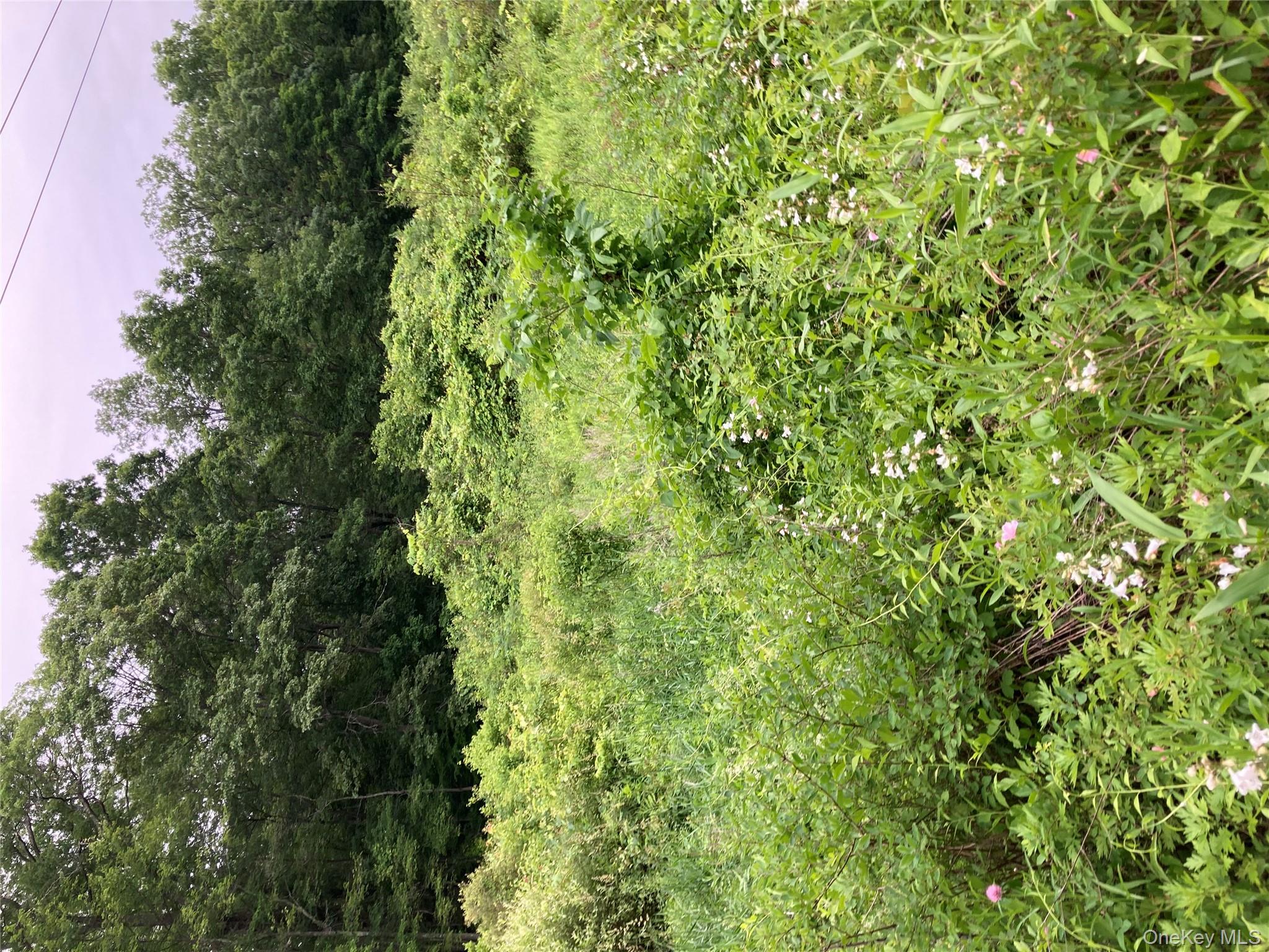 Baxtertown Road, Fishkill, NY 12524