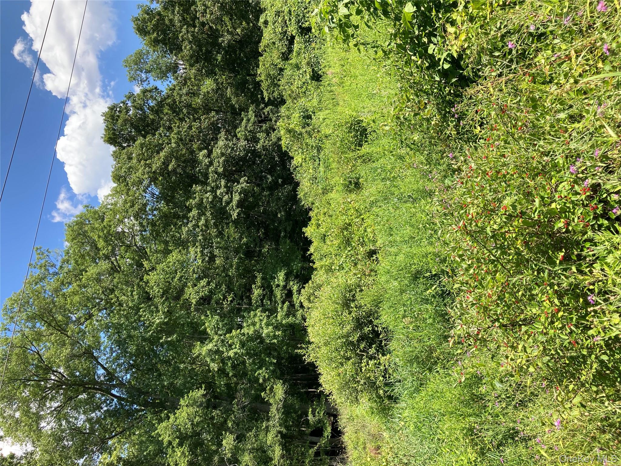 Baxtertown Road, Fishkill, NY 12524