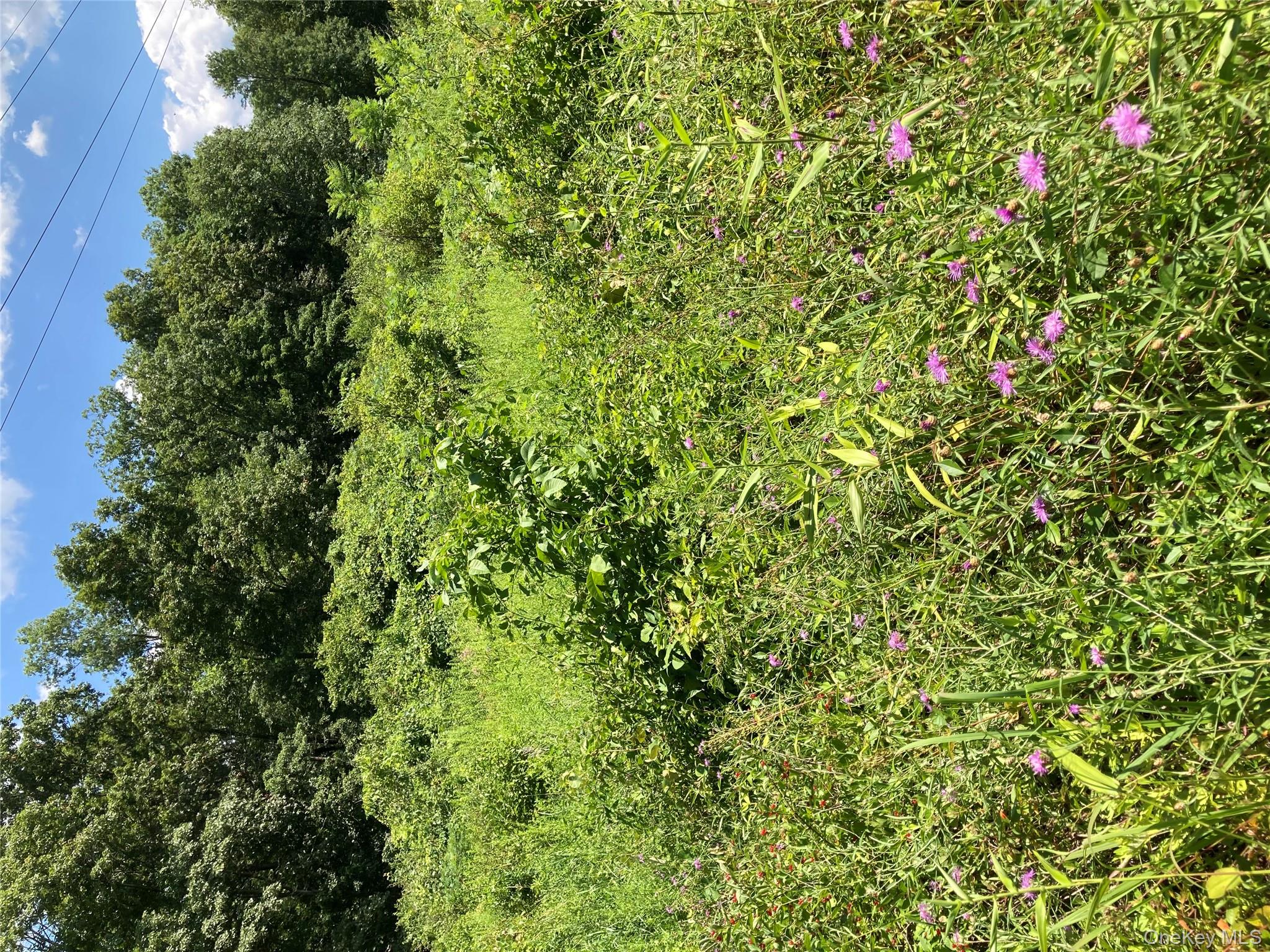 Baxtertown Road, Fishkill, NY 12524