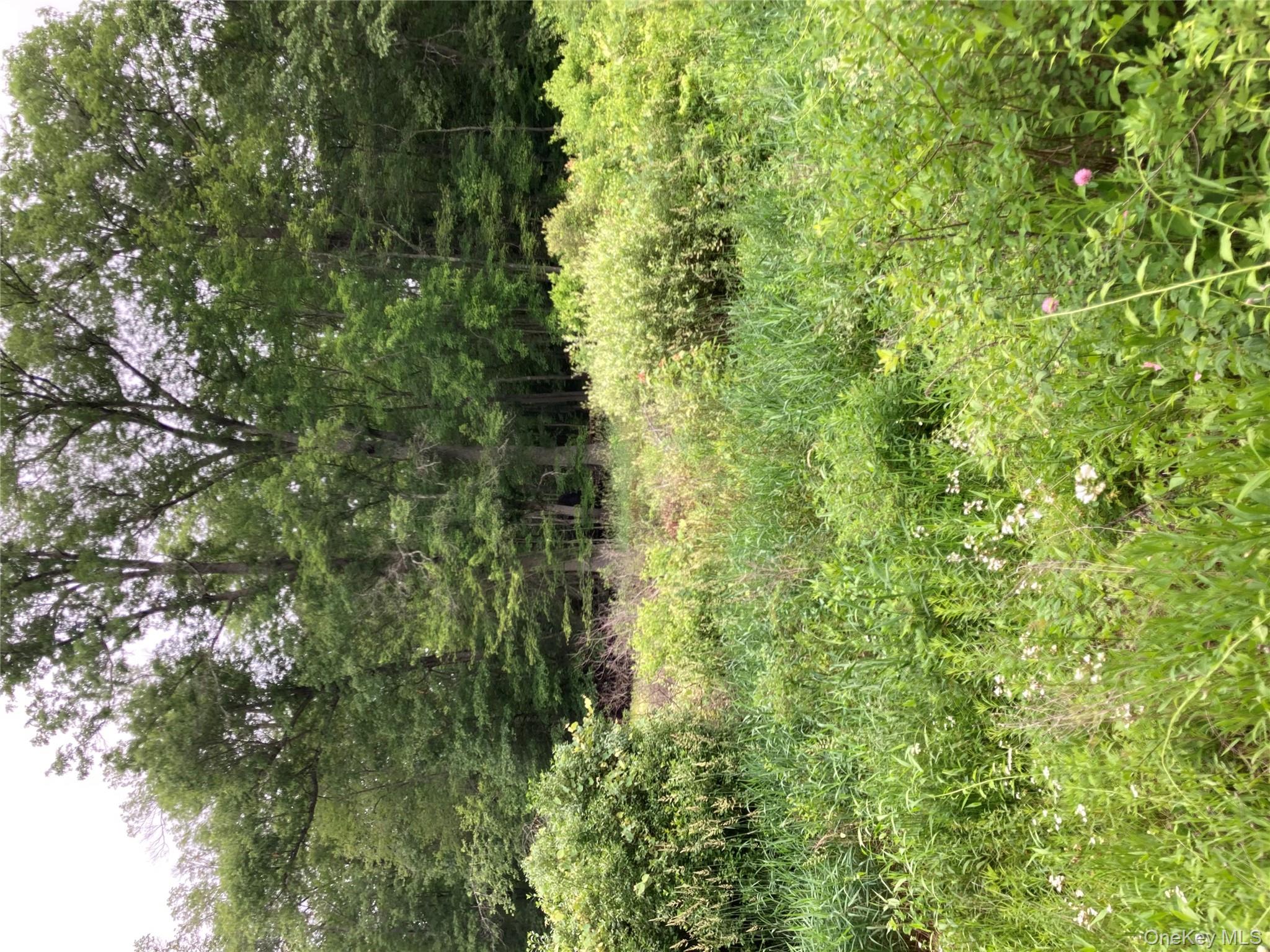 Baxtertown Road, Fishkill, NY 12524