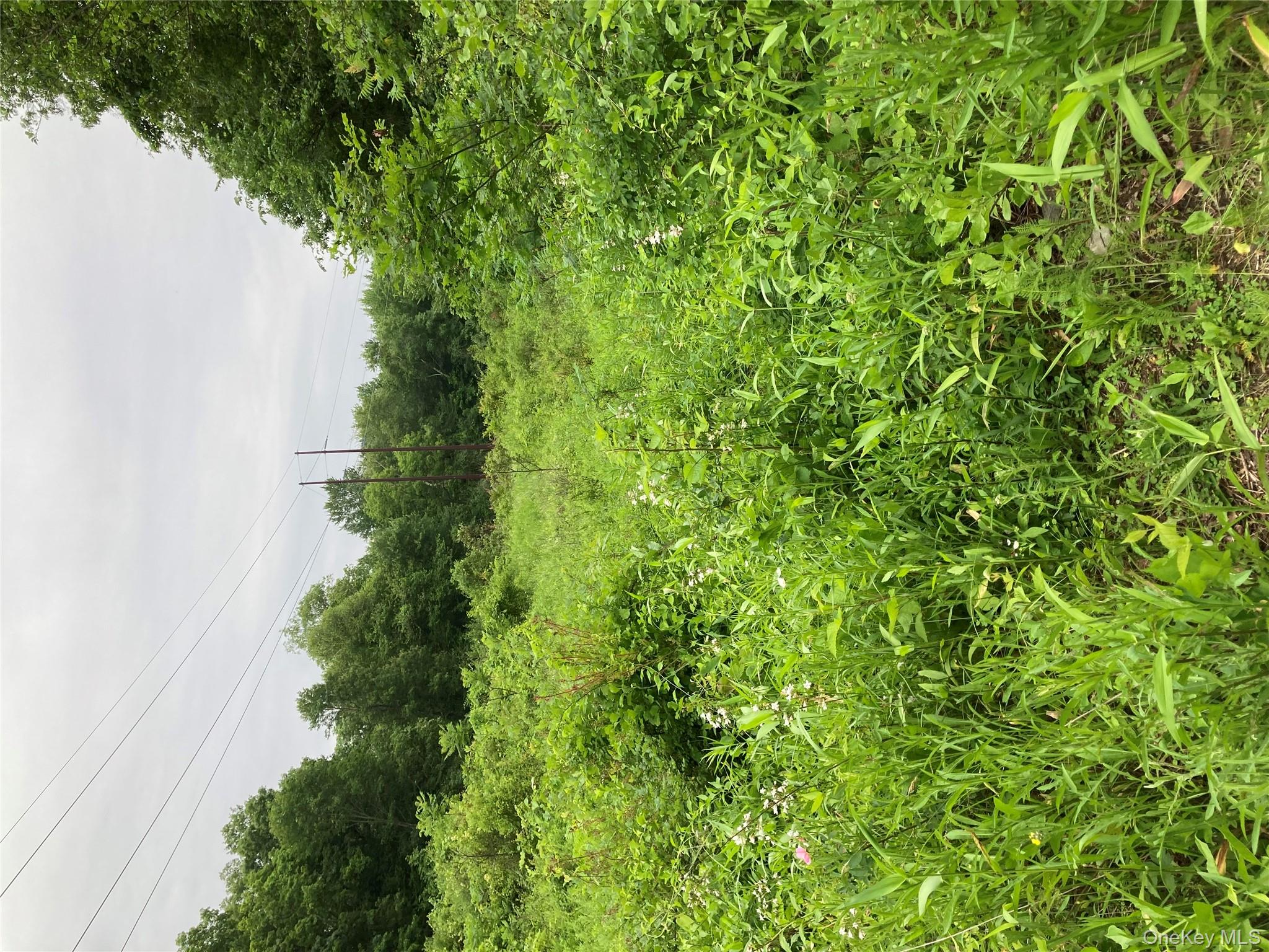 Baxtertown Road, Fishkill, NY 12524