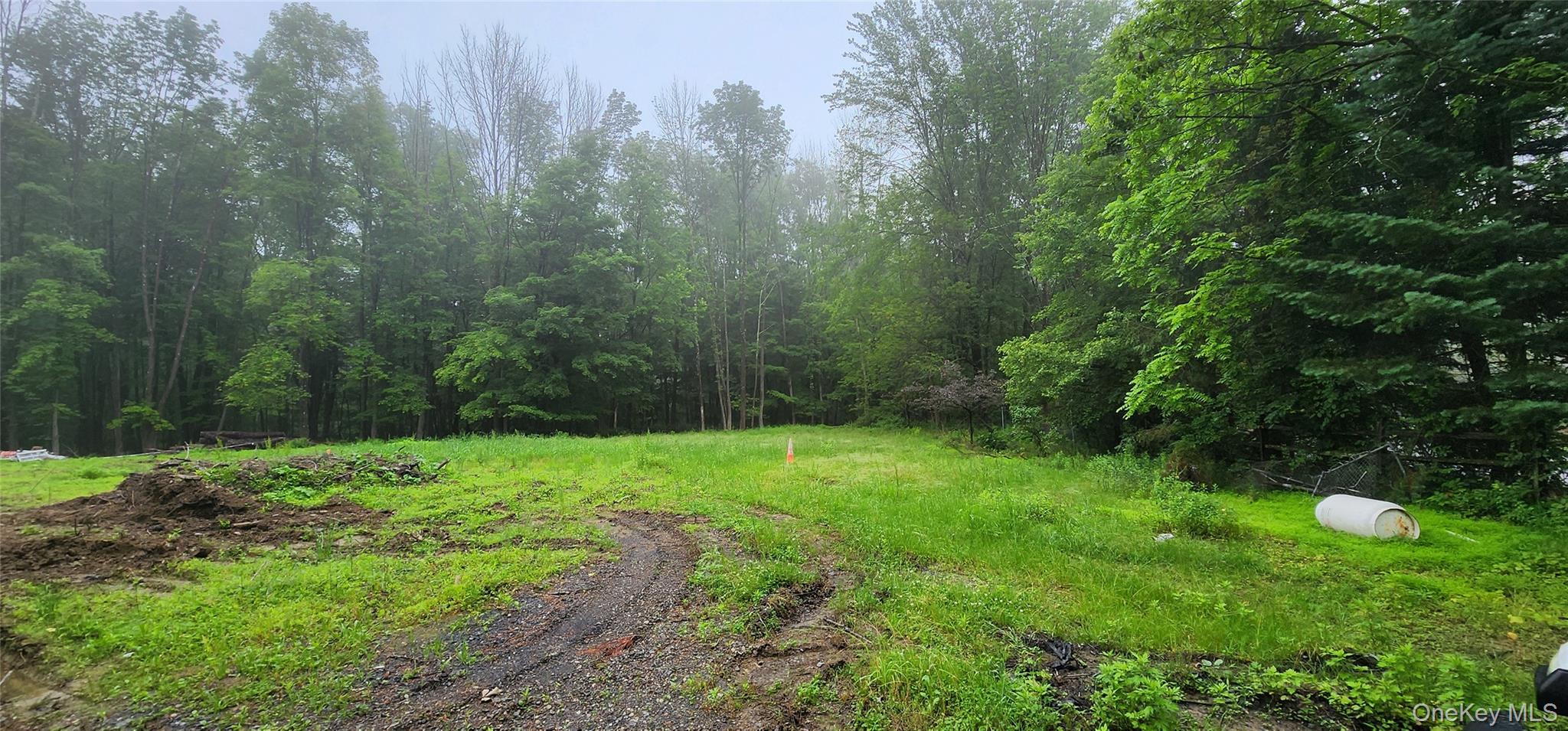 127 Benneywater Road, Port Jervis, NY 12771