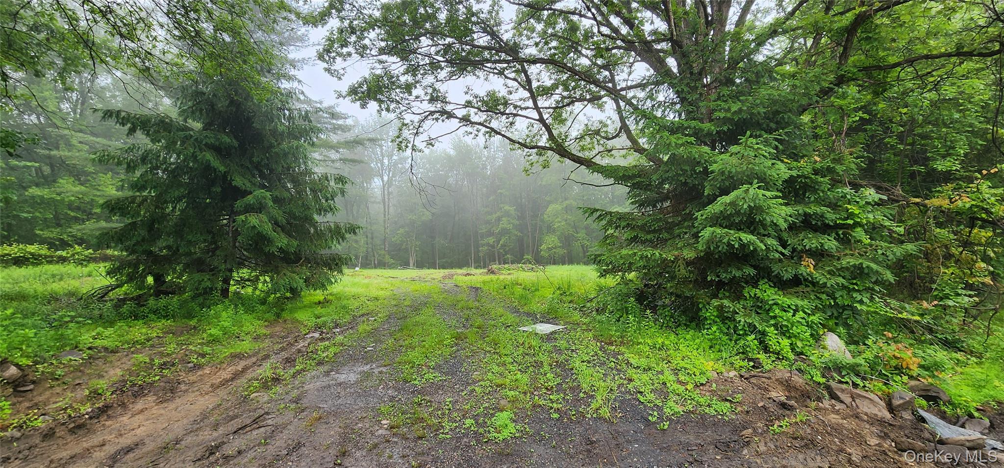 127 Benneywater Road, Port Jervis, NY 12771