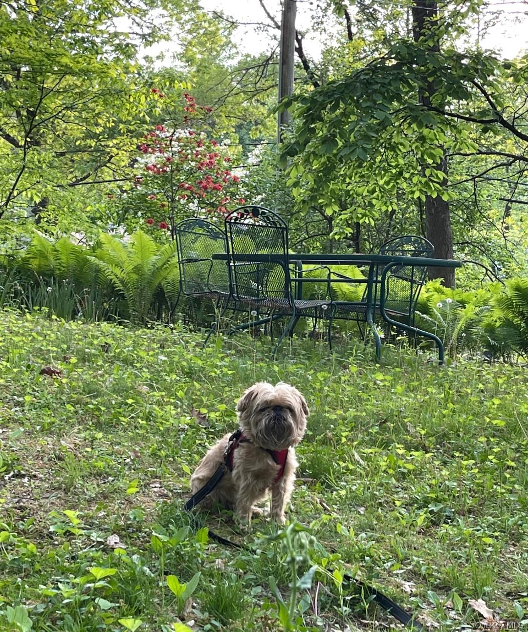 34 Bartles Landing Road, Rhinebeck, NY 12572