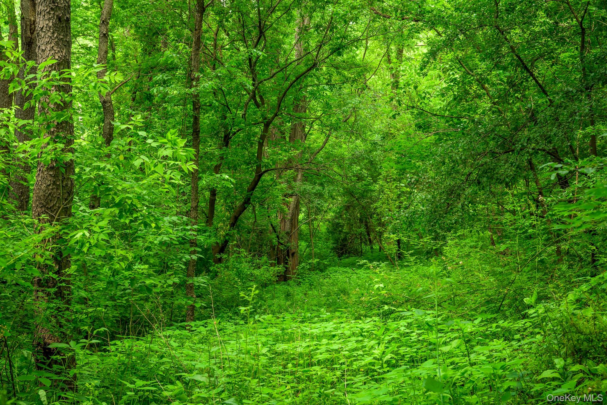 424 Bronck Mill Road, Coxsackie, NY 12192