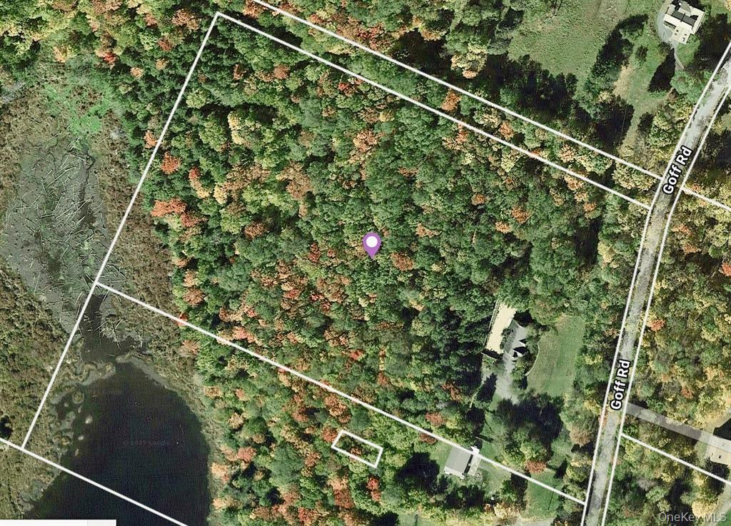 285 Goff Road, Livingston Manor, NY 12758