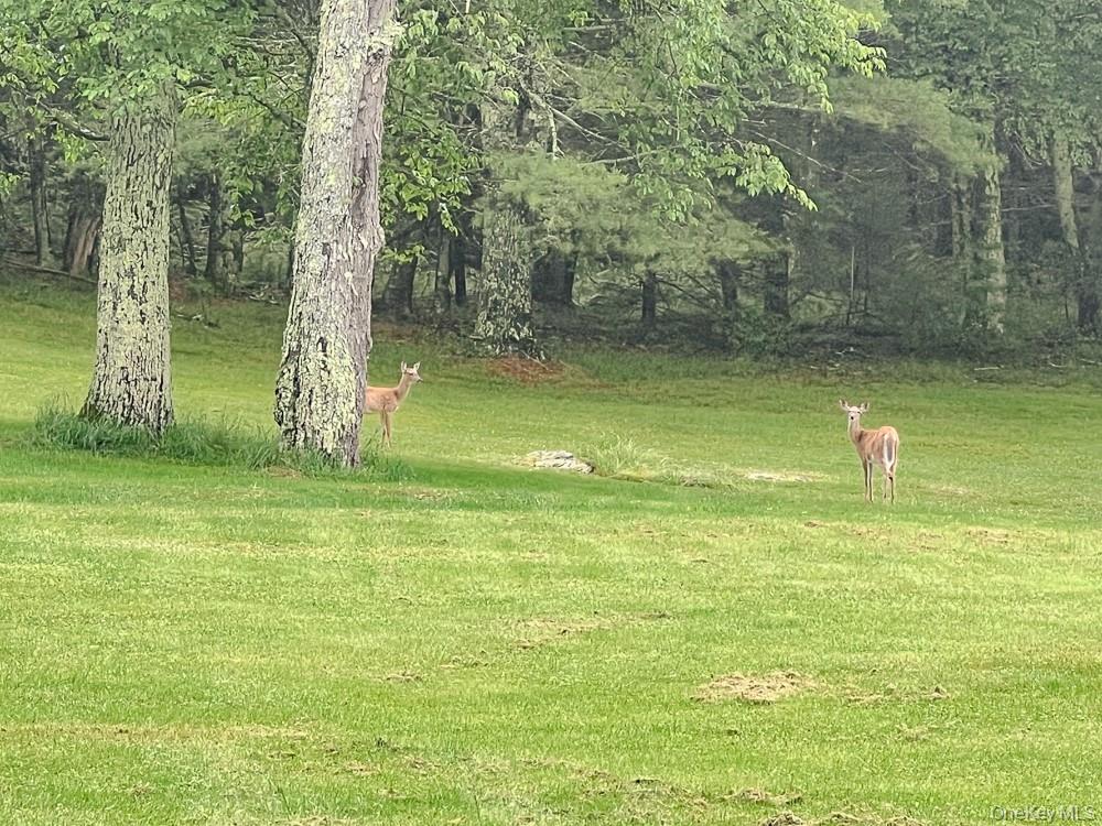 100 Old Tacy Road # TR95, Bethel, NY 12783