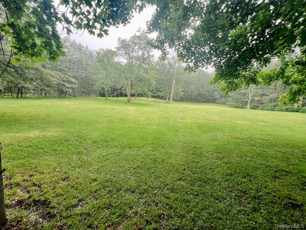 100 Old Tacy Road # TR95, Bethel, NY 12783