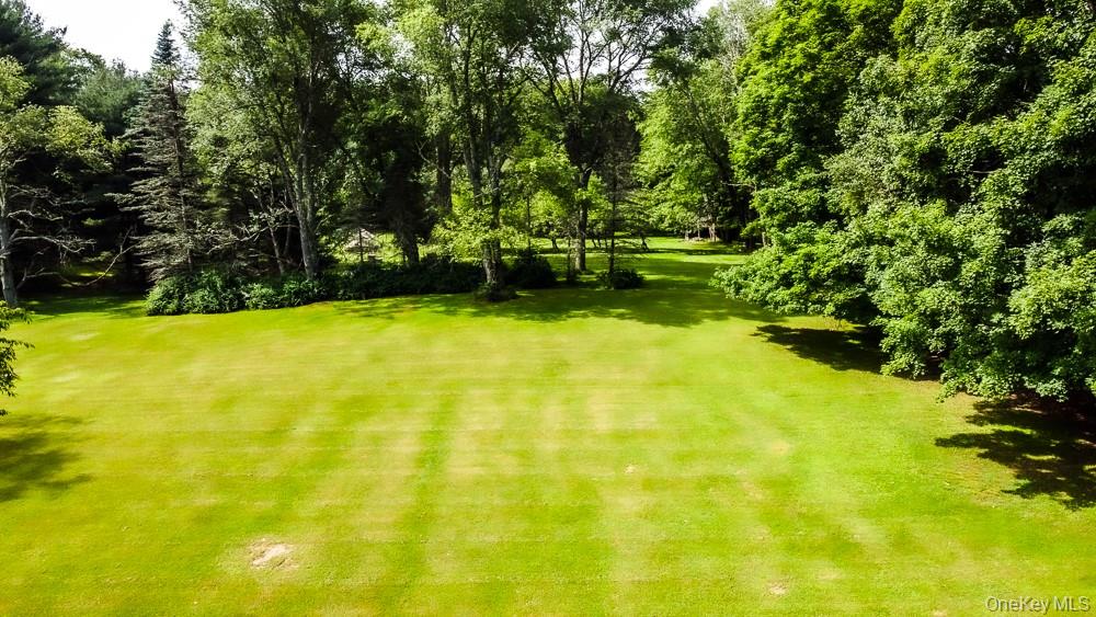 100 Old Tacy Road # TR95, Bethel, NY 12783