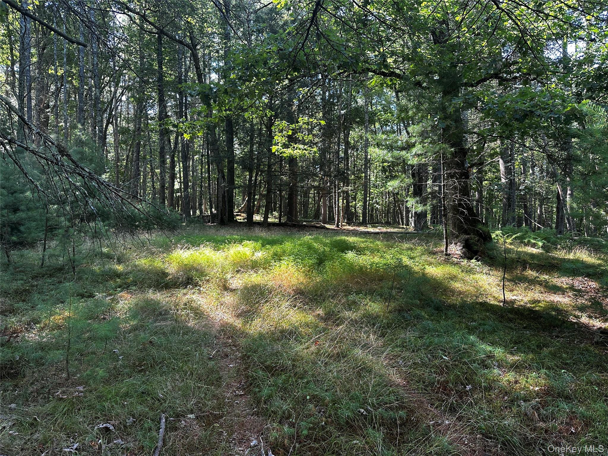 8 Kern Road, Barryville, NY 12719