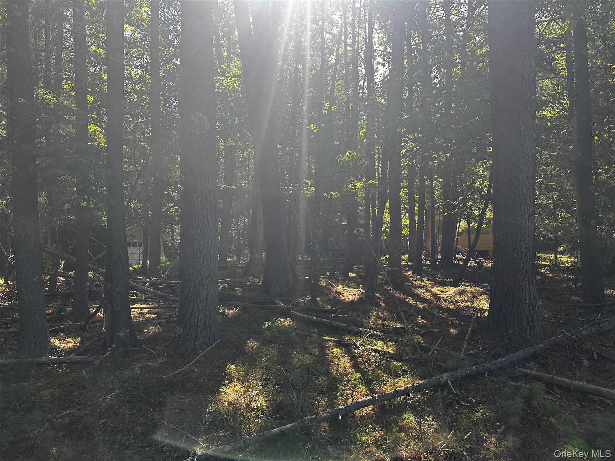 8 Kern Road, Barryville, NY 12719