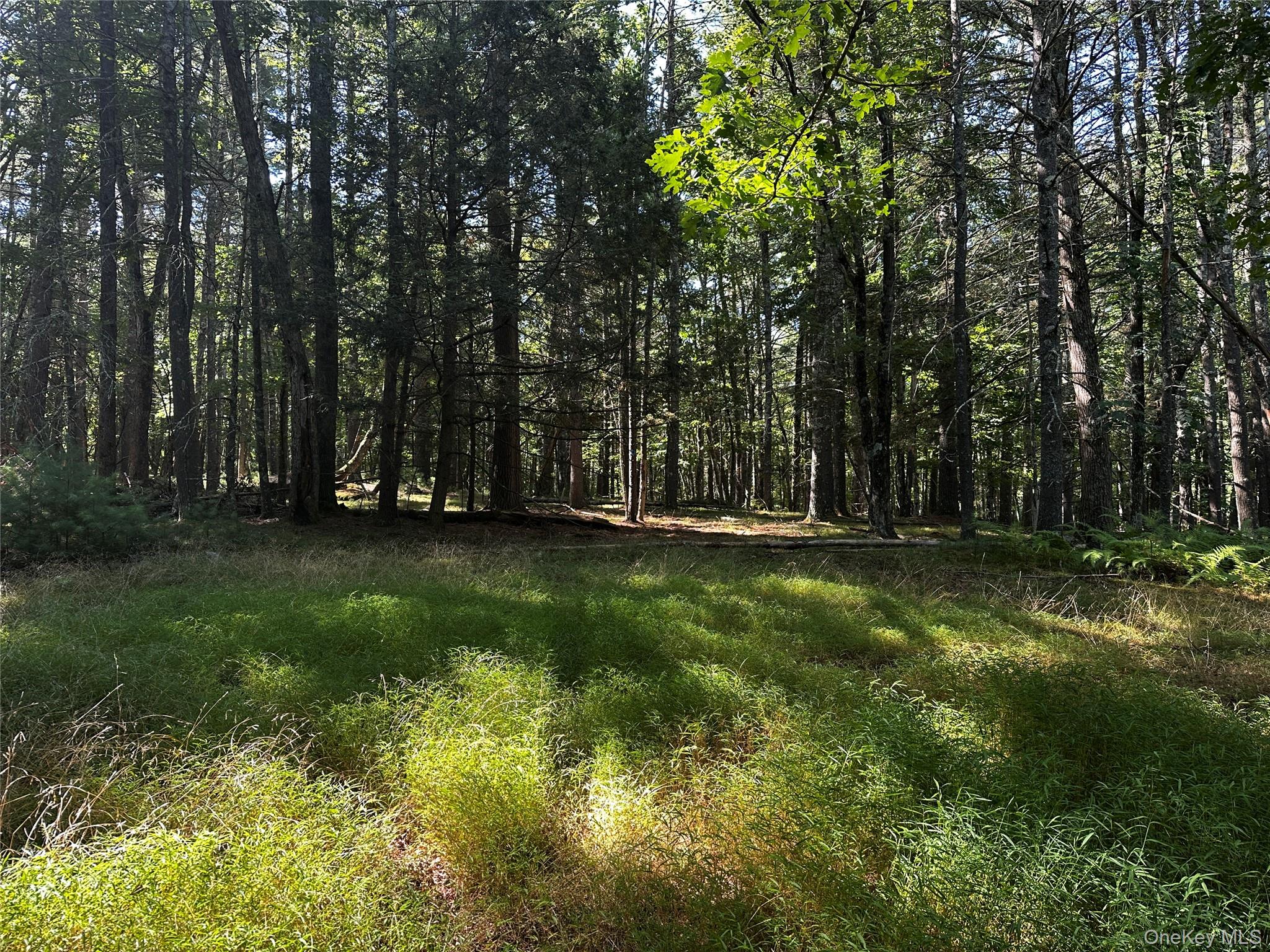 8 Kern Road, Barryville, NY 12719