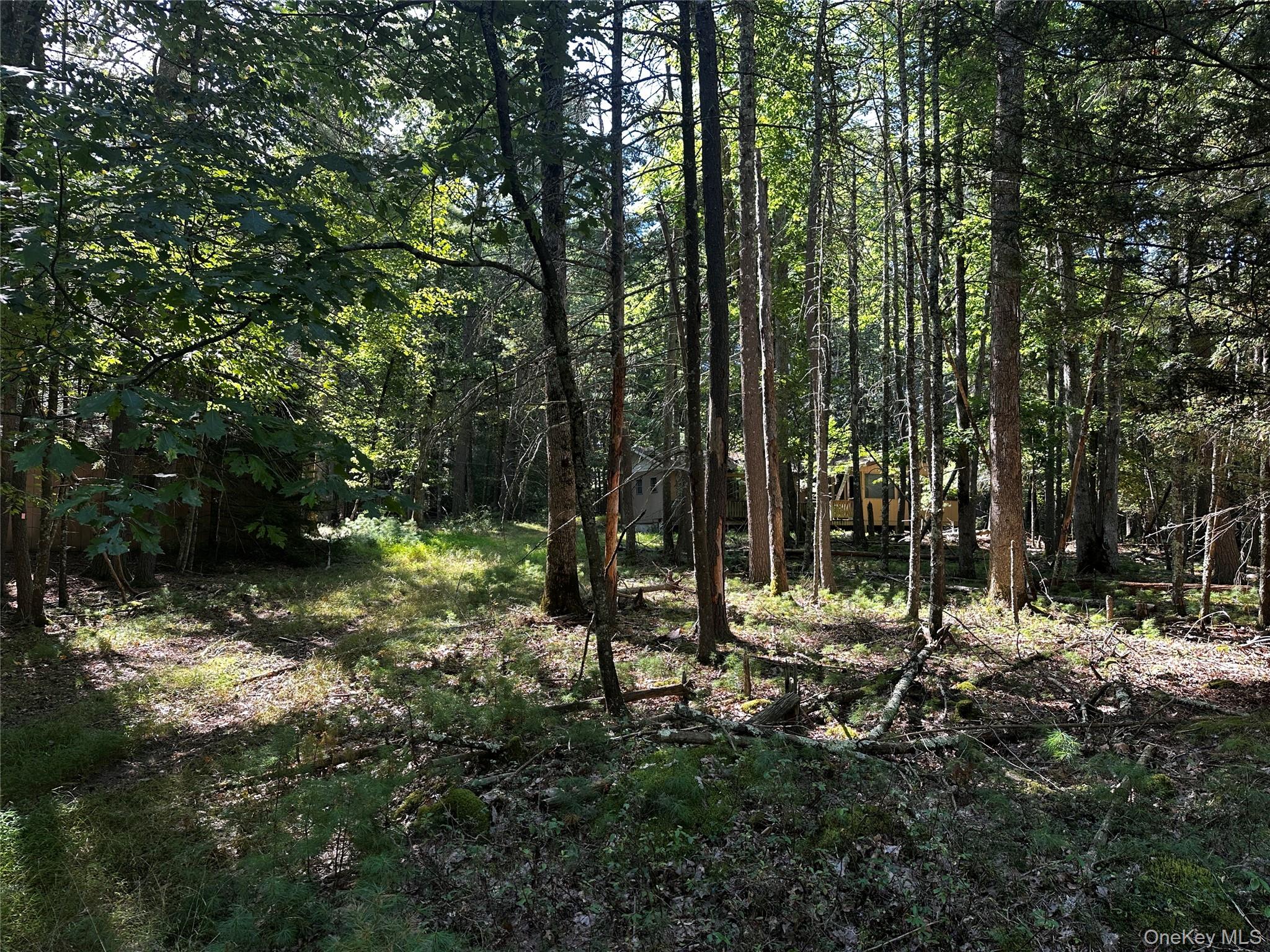 8 Kern Road, Barryville, NY 12719