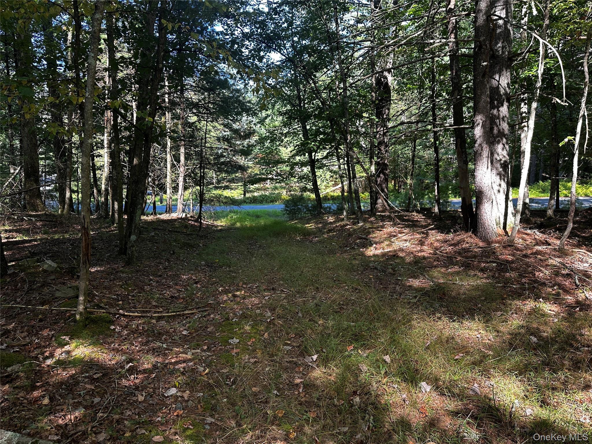 8 Kern Road, Barryville, NY 12719