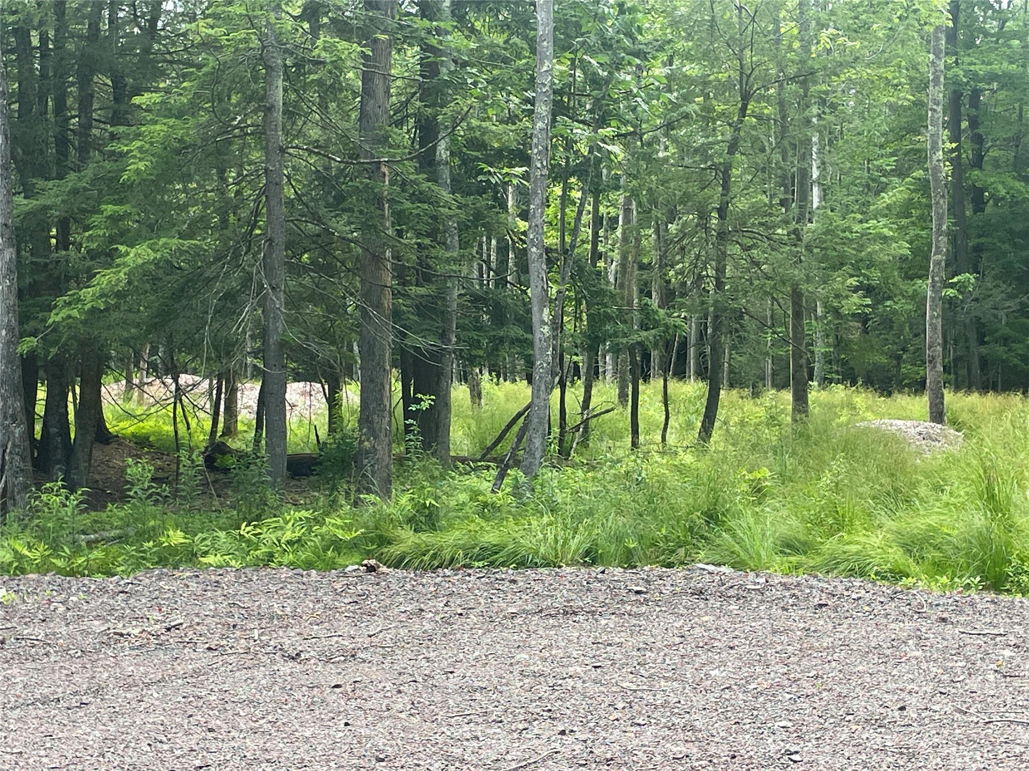 TBD Lot 8 Boulder Brook Road, Windham, NY 12496