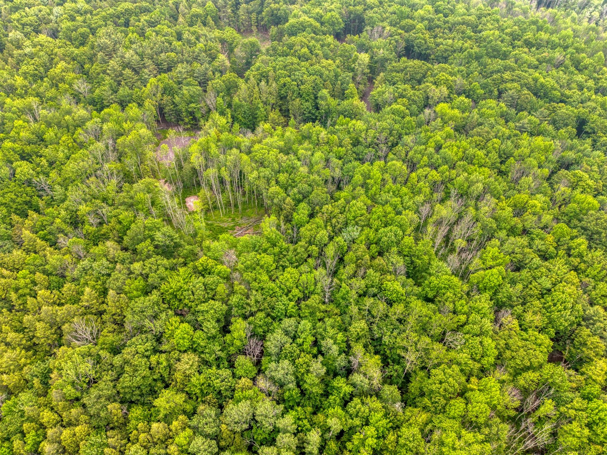 TBD Lot 8 Boulder Brook Road, Windham, NY 12496