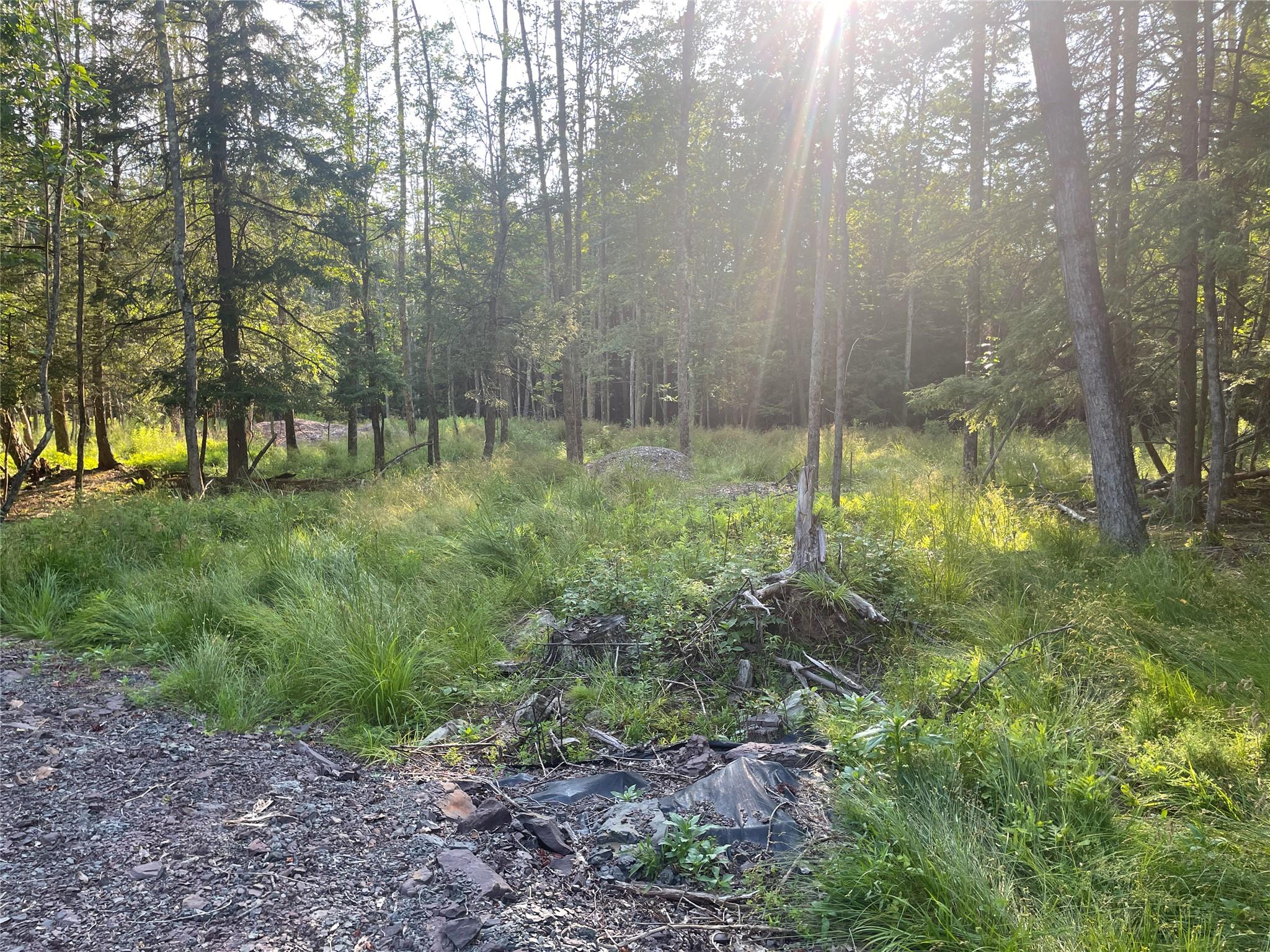 TBD Lot 8 Boulder Brook Road, Windham, NY 12496