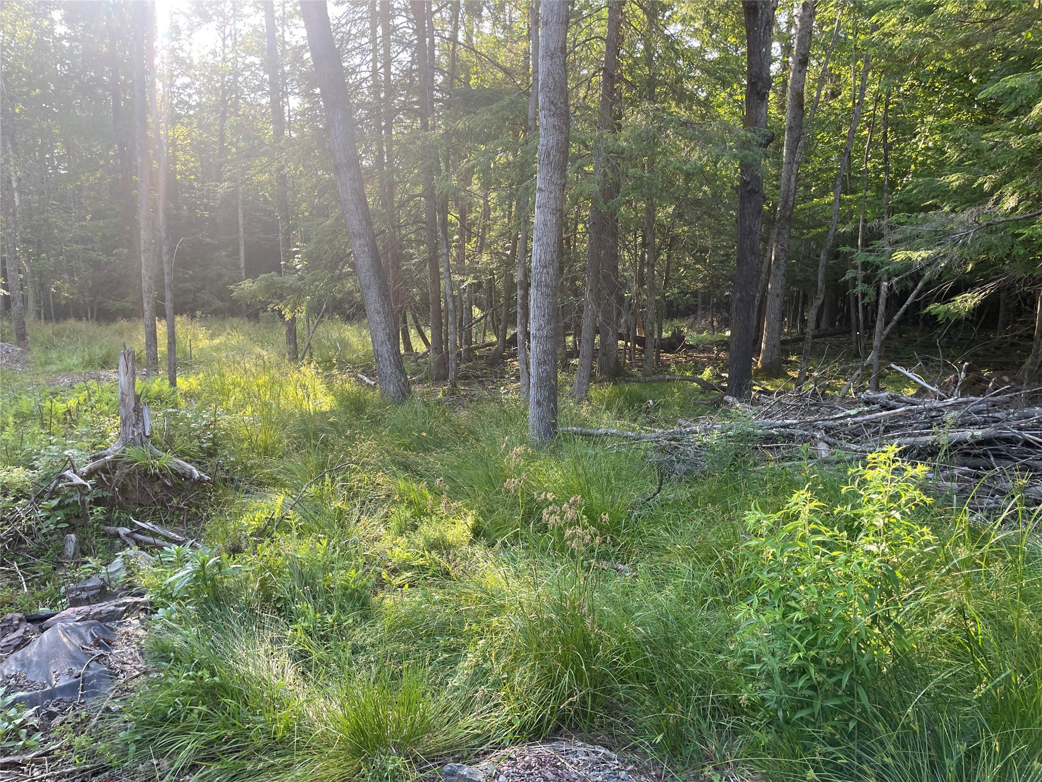 TBD Lot 8 Boulder Brook Road, Windham, NY 12496