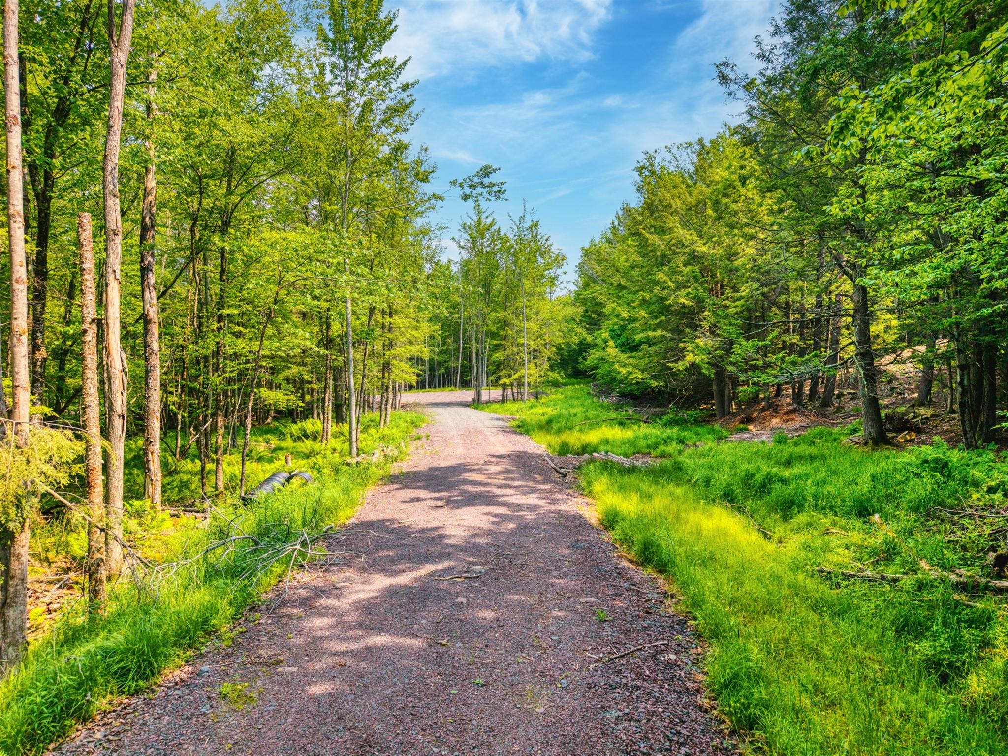 TBD Boulder Brook lot B14 Road, Windham, NY 12496