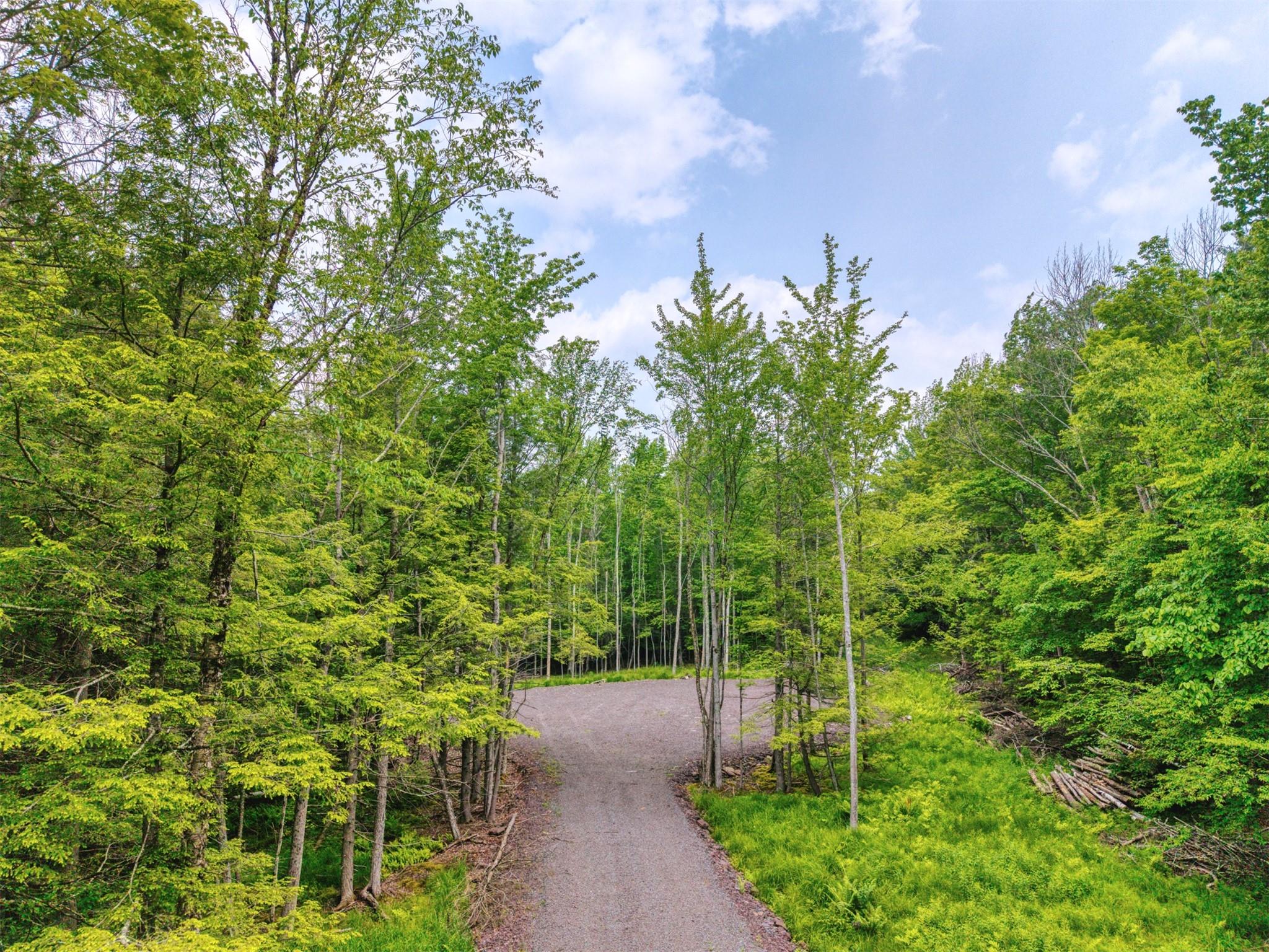TBD Boulder Brook lot B14 Road, Windham, NY 12496