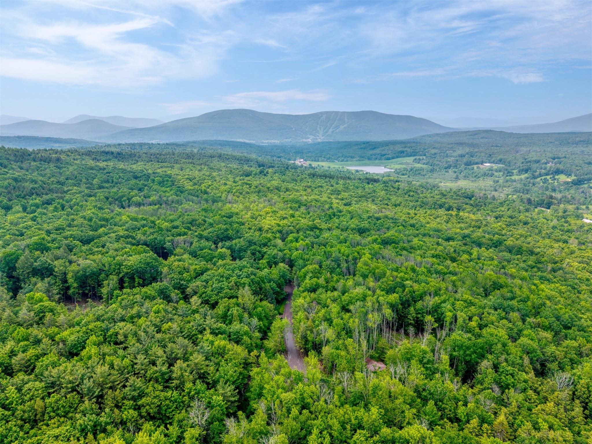 TBD Boulder Brook lot B14 Road, Windham, NY 12496