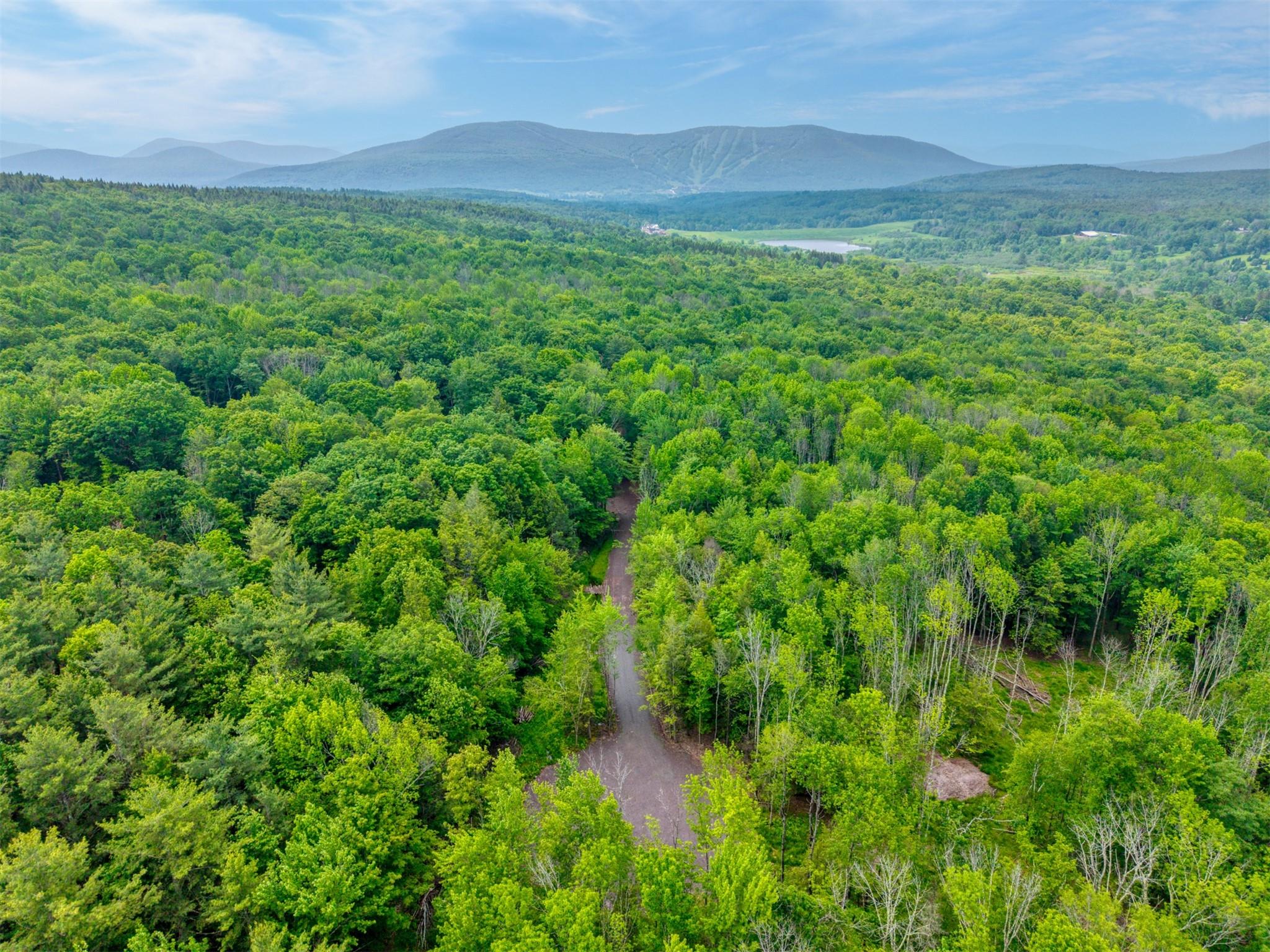 TBD Boulder Brook lot B14 Road, Windham, NY 12496