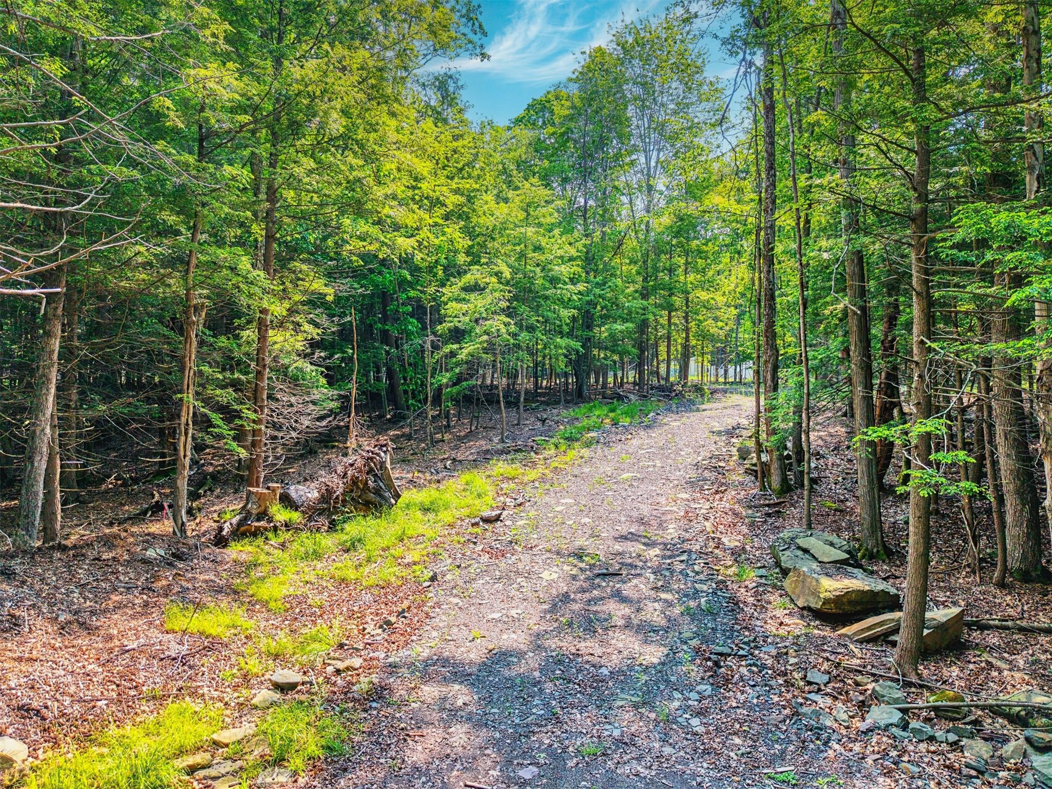 TBD Boulder Brook lot B14 Road, Windham, NY 12496