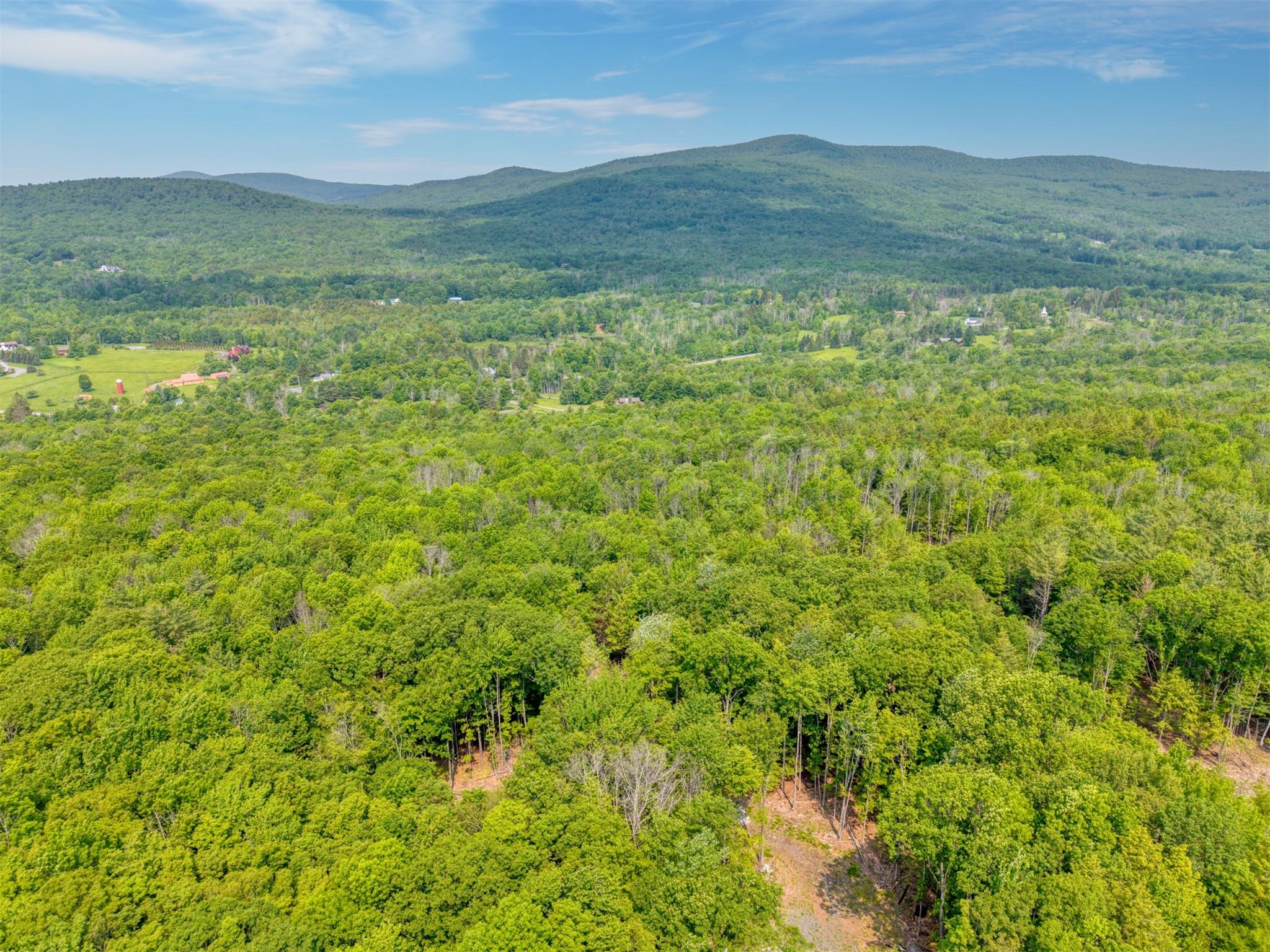 TBD Boulder Brook lot B14 Road, Windham, NY 12496