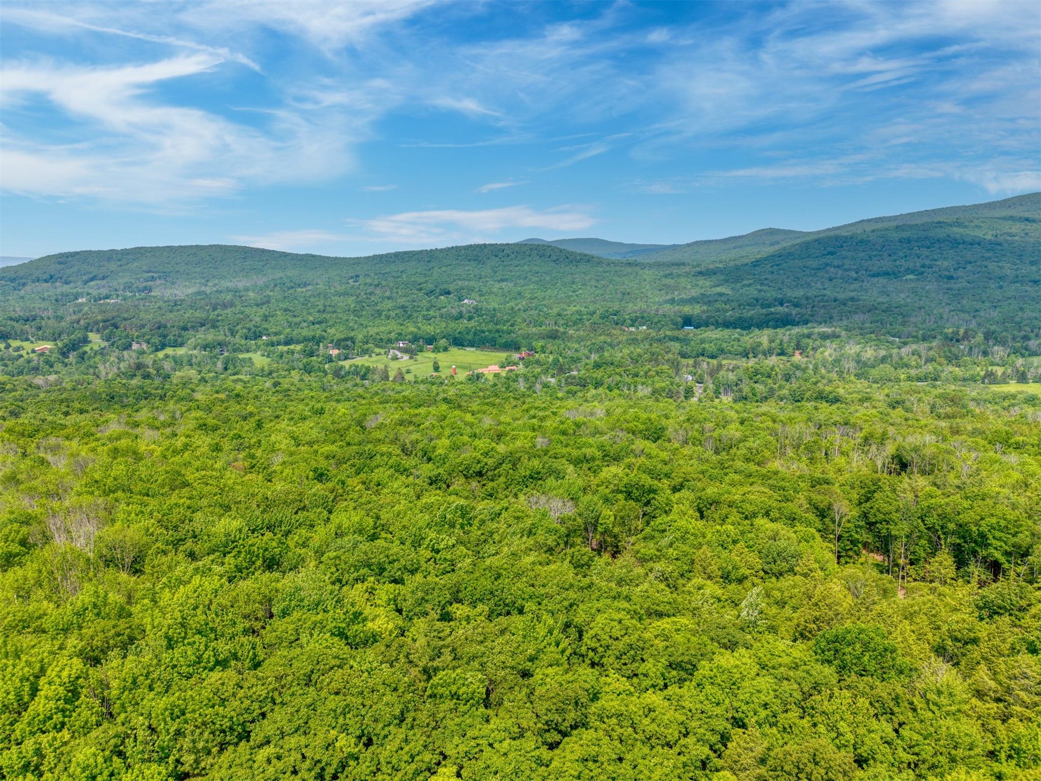 TBD Boulder Brook lot B14 Road, Windham, NY 12496