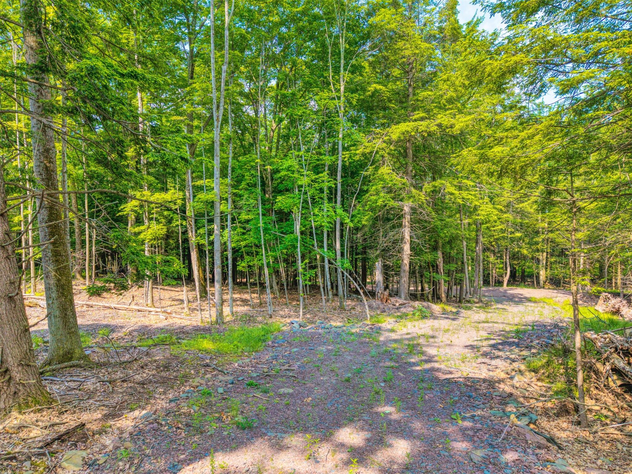 TBD Boulder Brook lot B14 Road, Windham, NY 12496