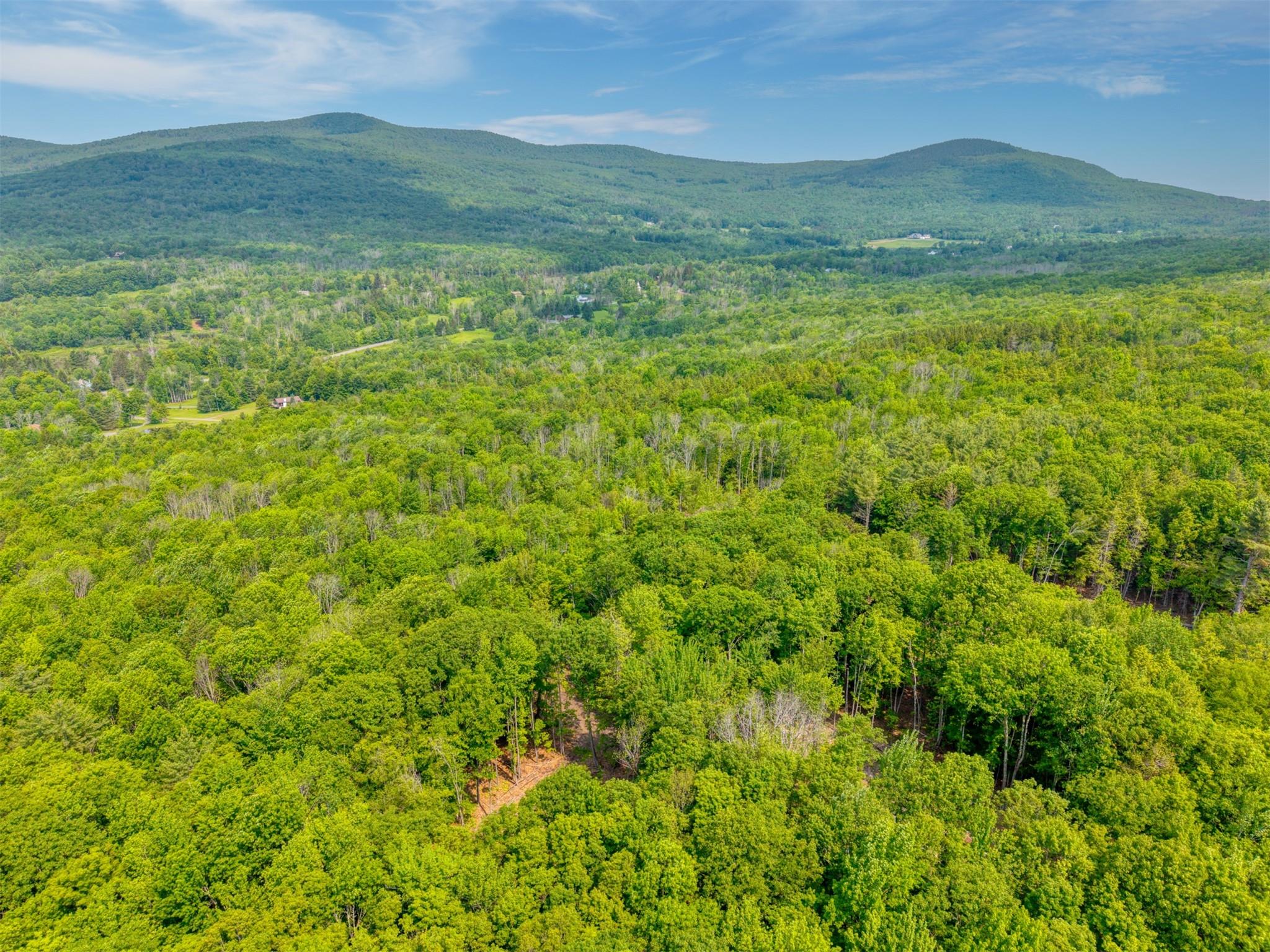 TBD Boulder Brook lot B14 Road, Windham, NY 12496