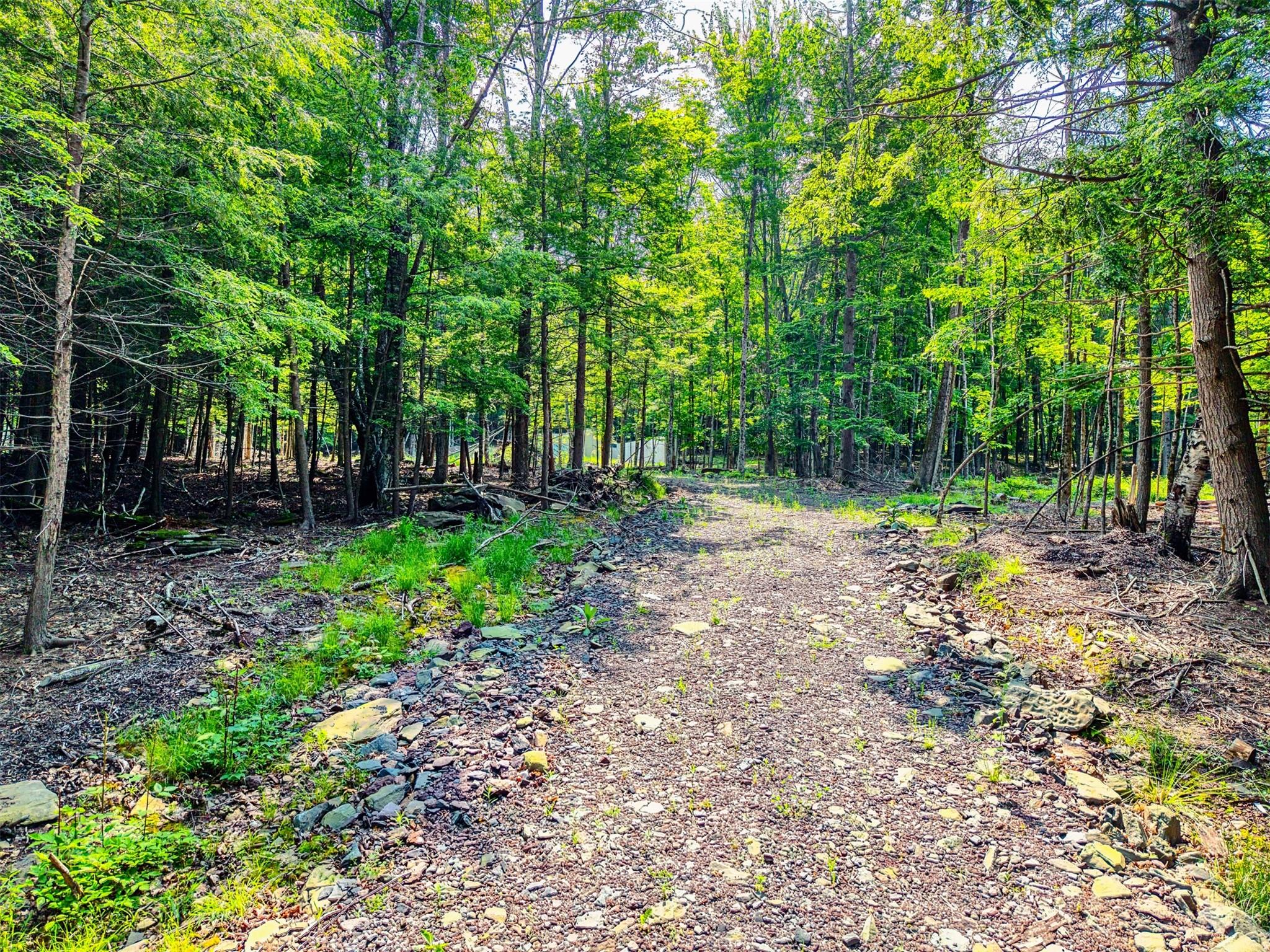 TBD Boulder Brook lot B14 Road, Windham, NY 12496