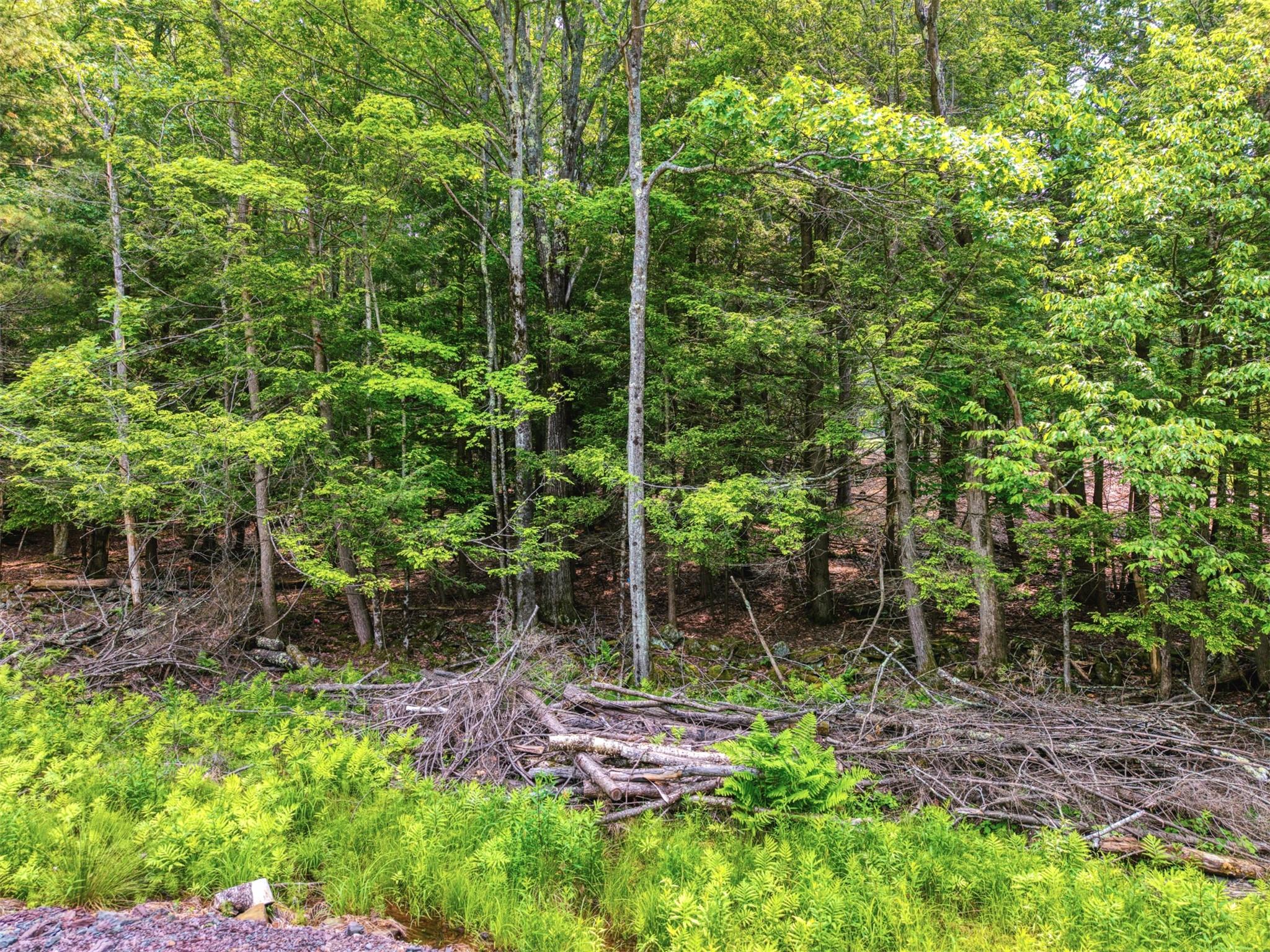 TBD Boulder Brook lot B14 Road, Windham, NY 12496