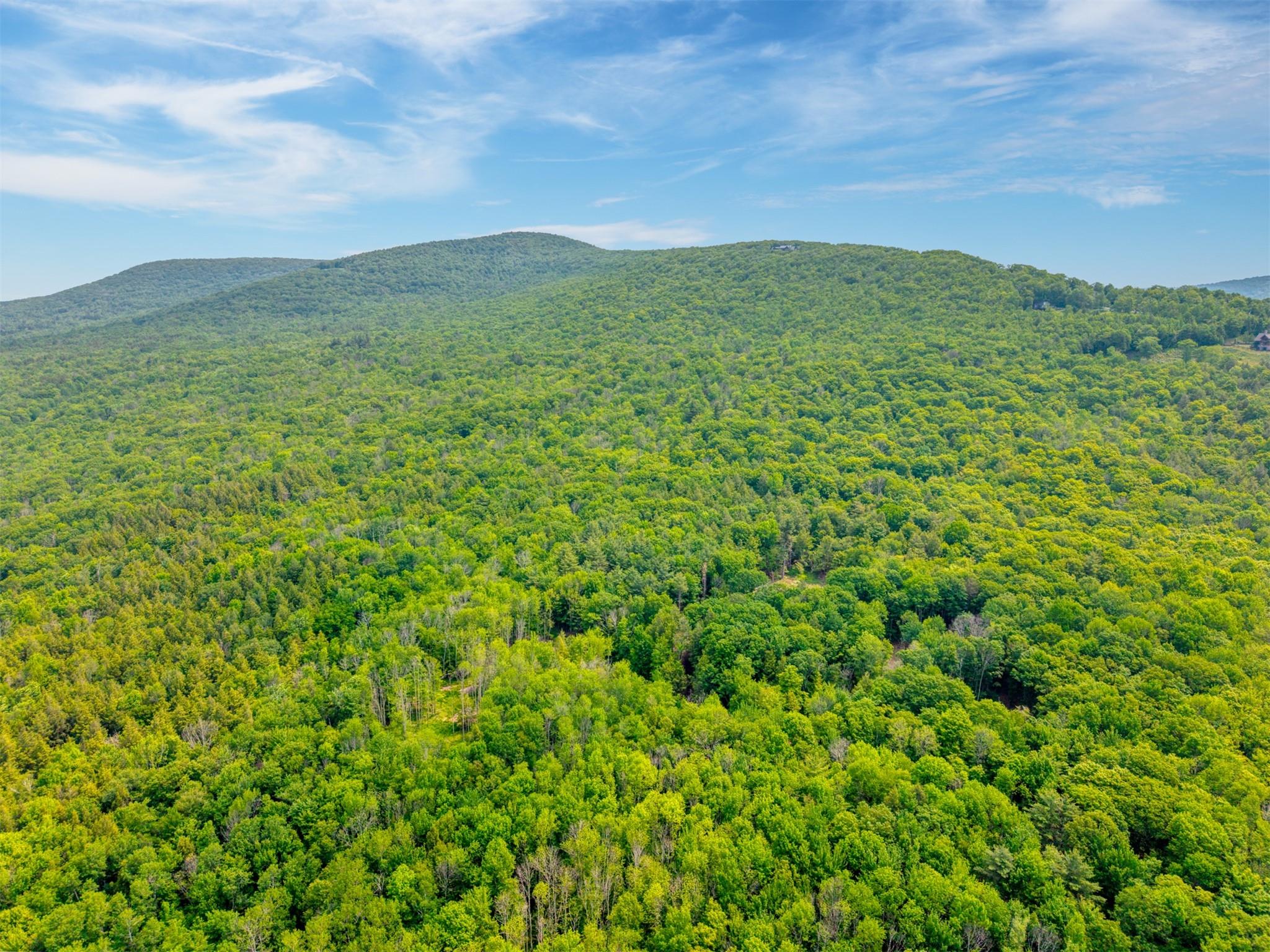 TBD Boulder Brook lot B14 Road, Windham, NY 12496