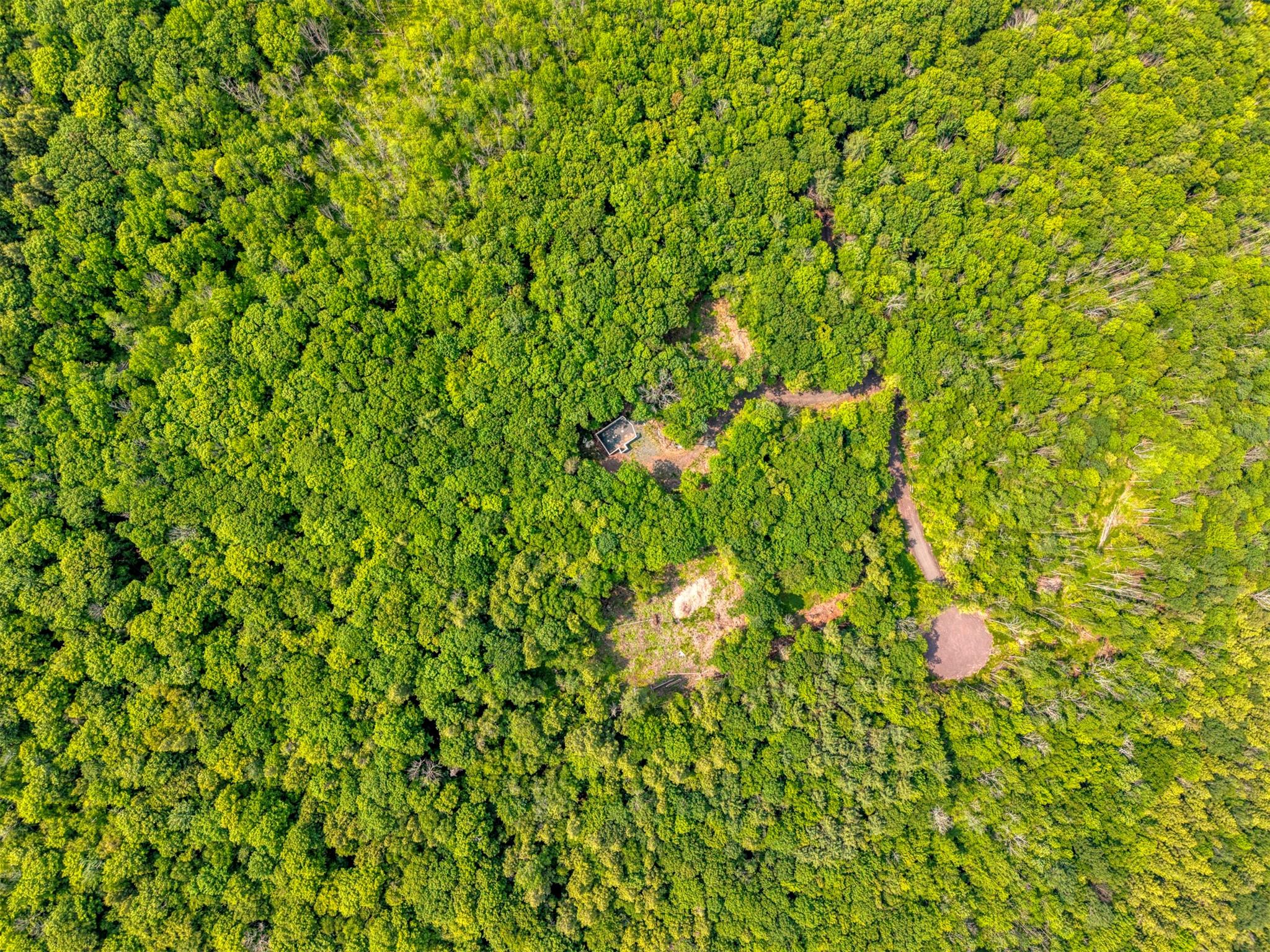 TBD Boulder Brook lot B14 Road, Windham, NY 12496