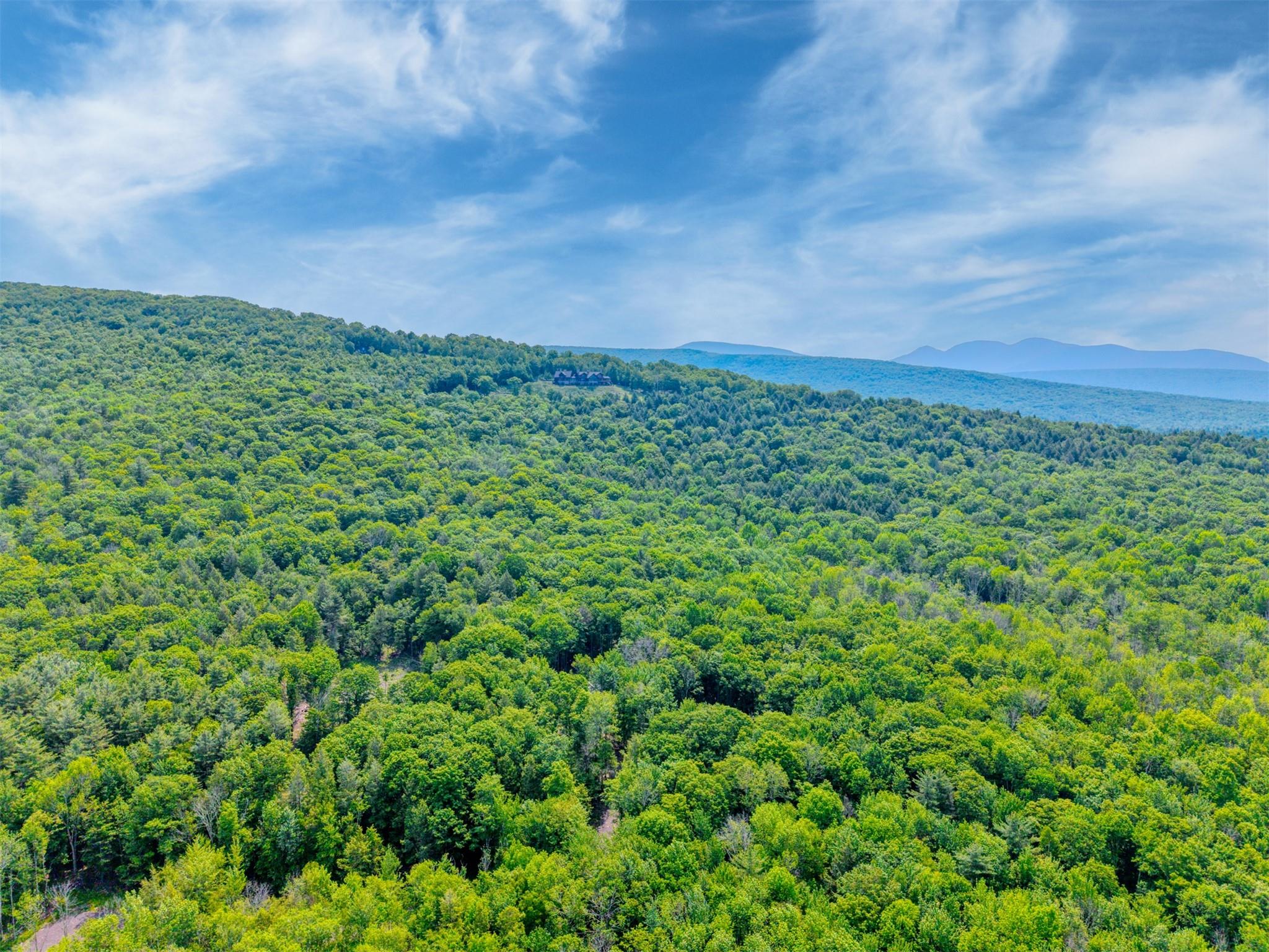 TBD Boulder Brook lot B14 Road, Windham, NY 12496