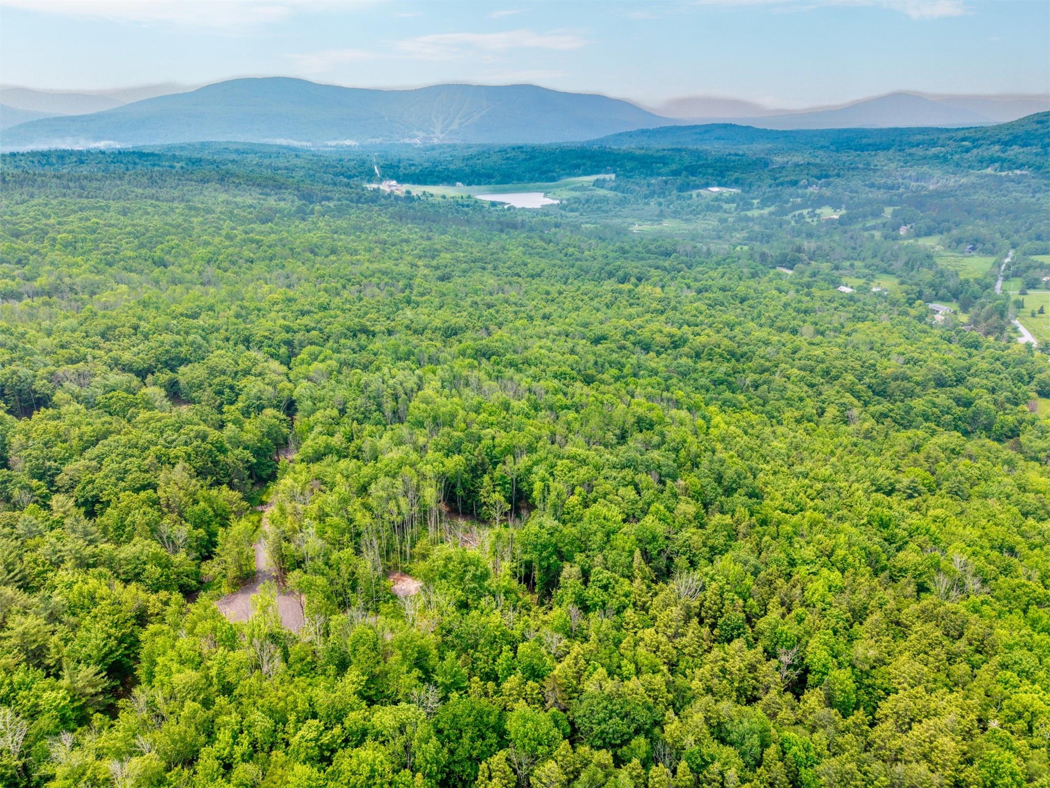 TBD Boulder Brook lot B14 Road, Windham, NY 12496