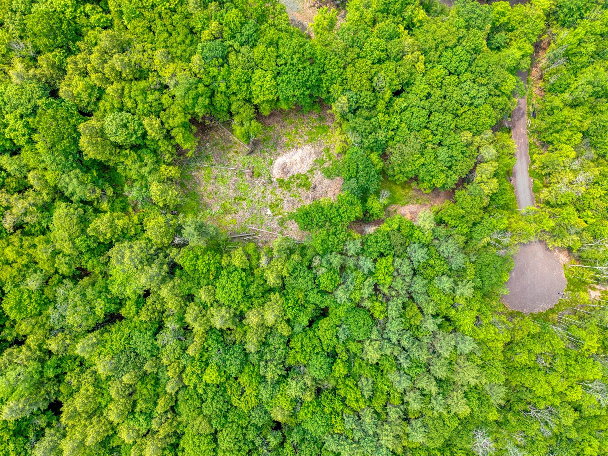 TBD Boulder Brook lot B14 Road, Windham, NY 12496