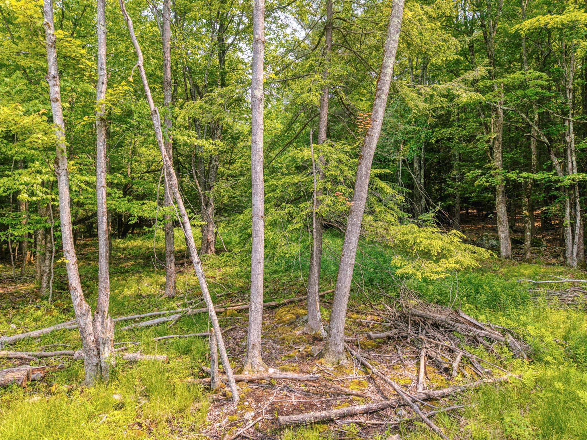 TBD Boulder Brook lot B14 Road, Windham, NY 12496