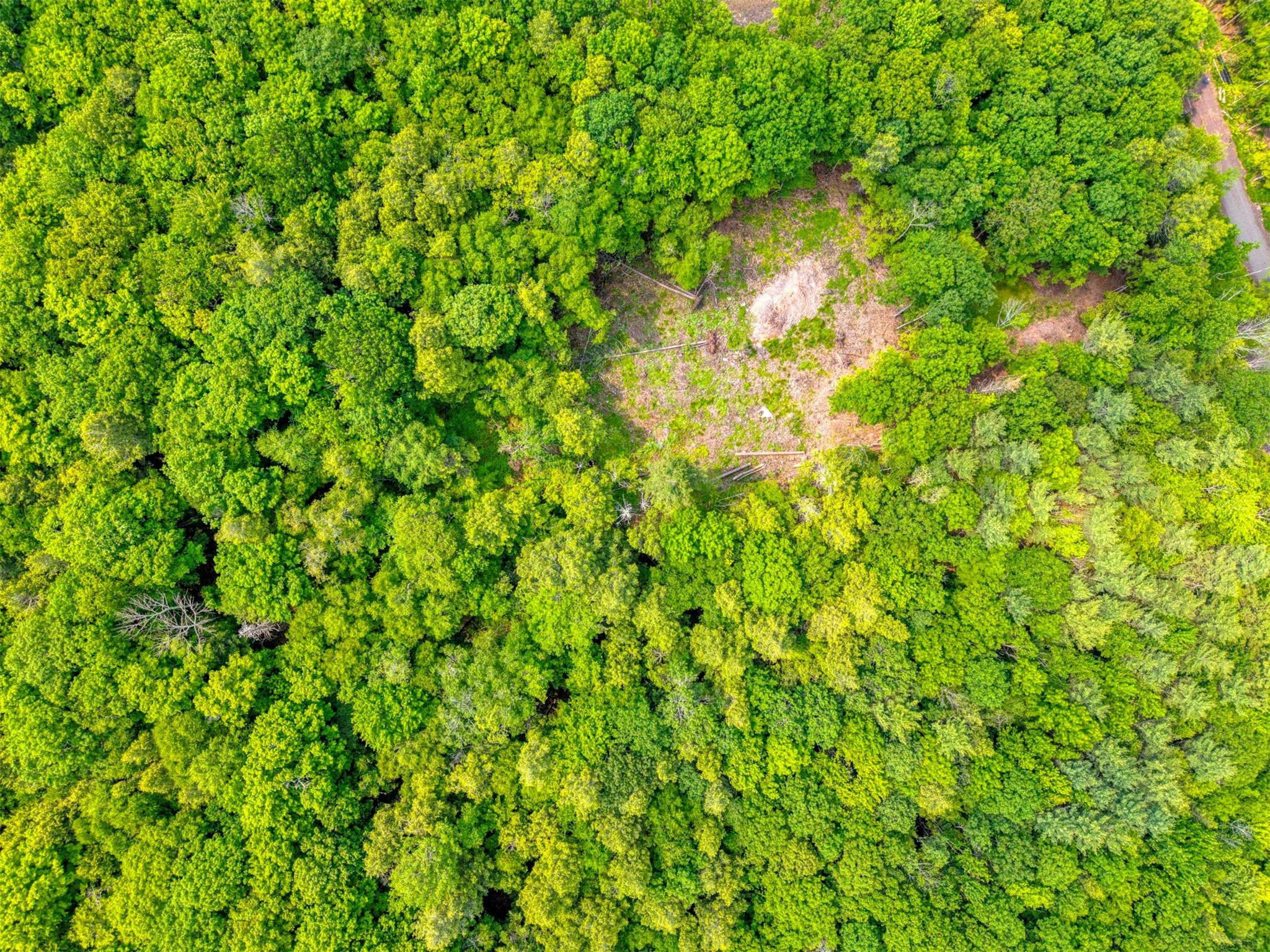 TBD Boulder Brook lot B14 Road, Windham, NY 12496