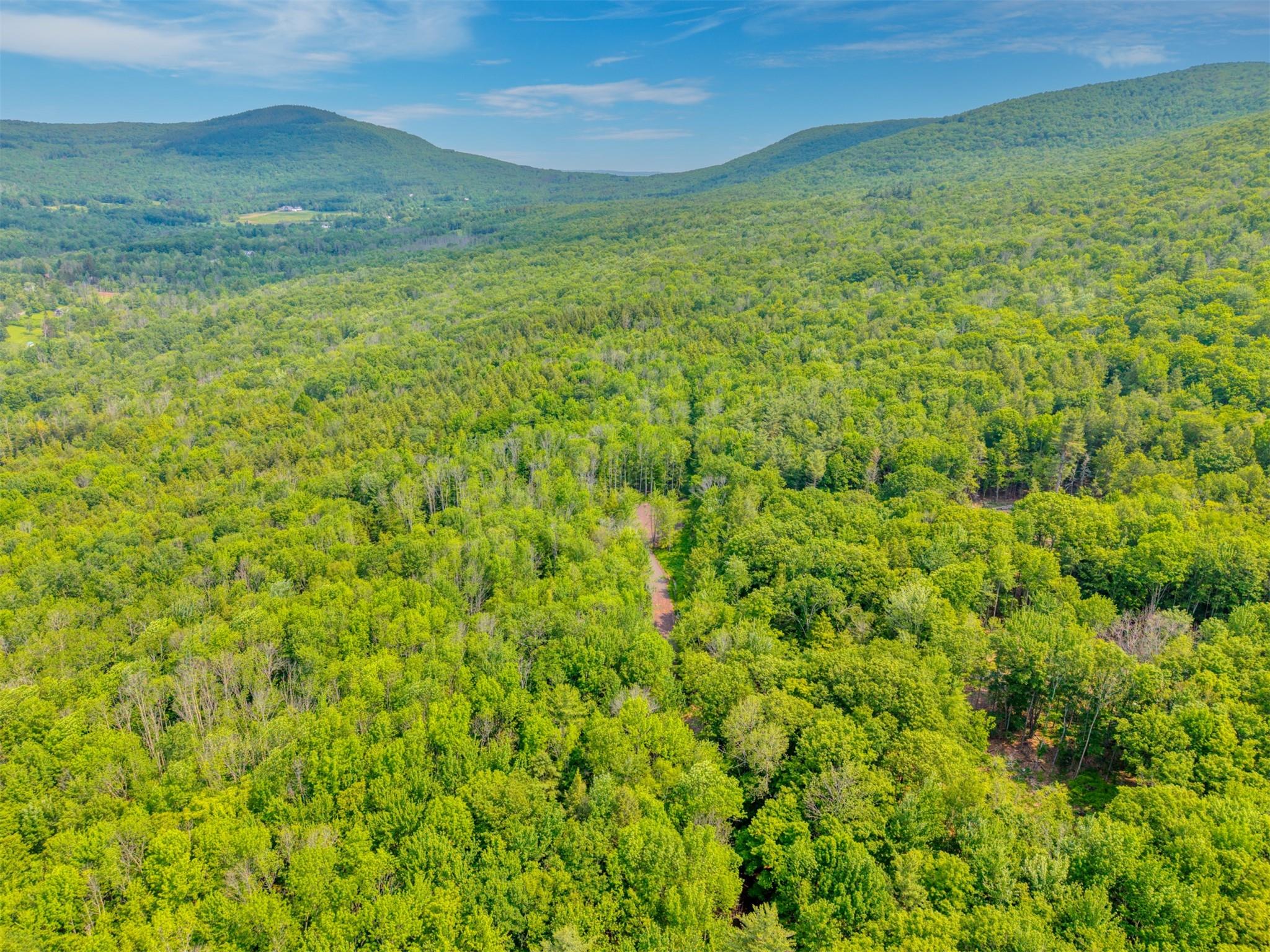 TBD Boulder Brook lot B14 Road, Windham, NY 12496