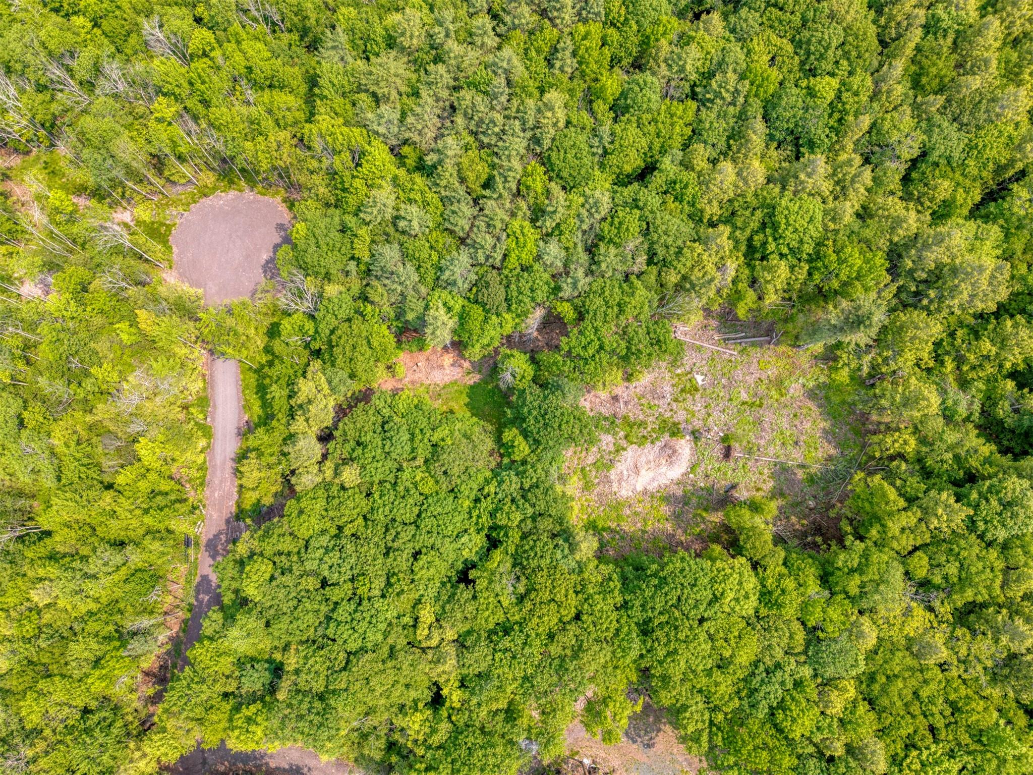 TBD Boulder Brook lot B14 Road, Windham, NY 12496